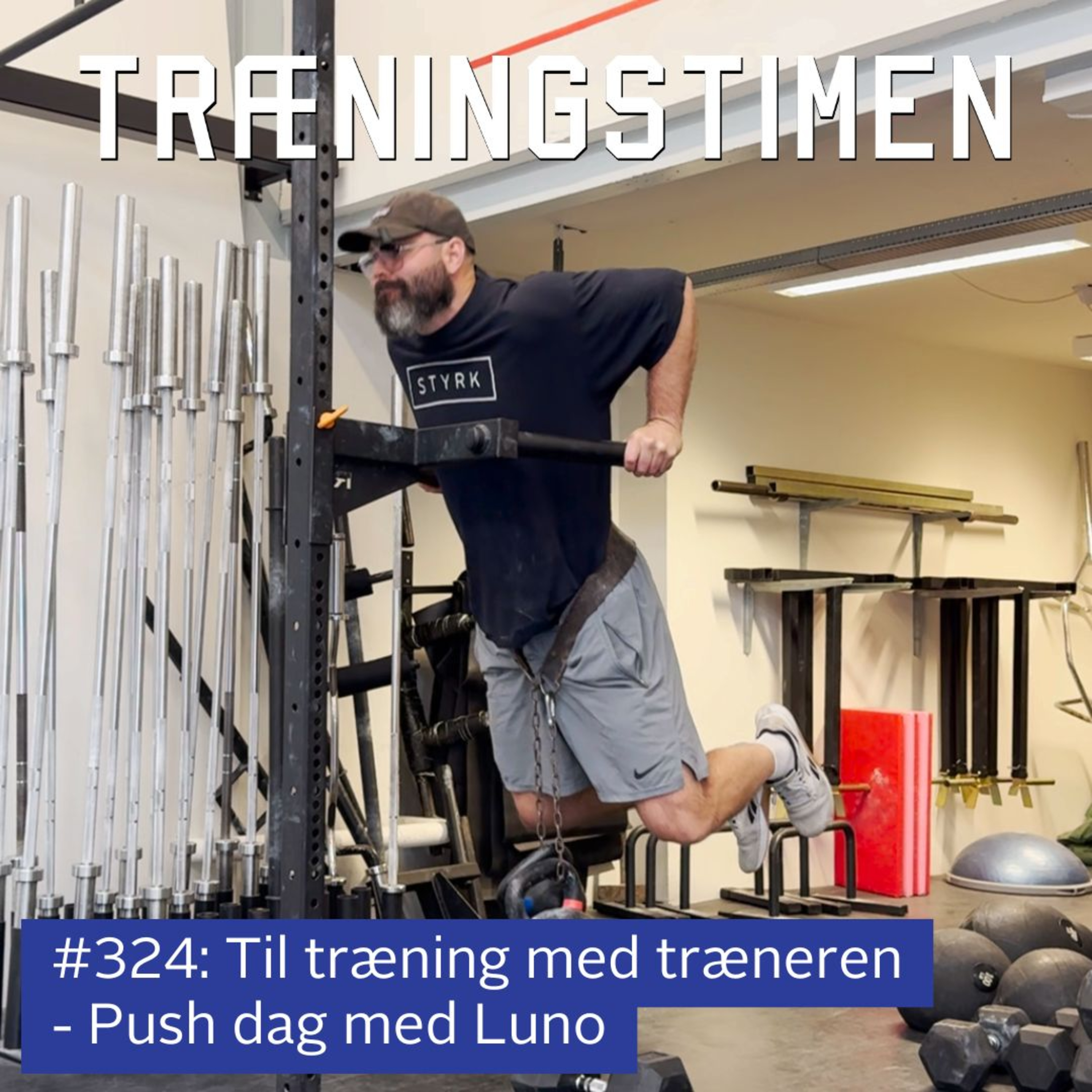 #324: Til træning med træneren - Push dag med Luno episode artwork