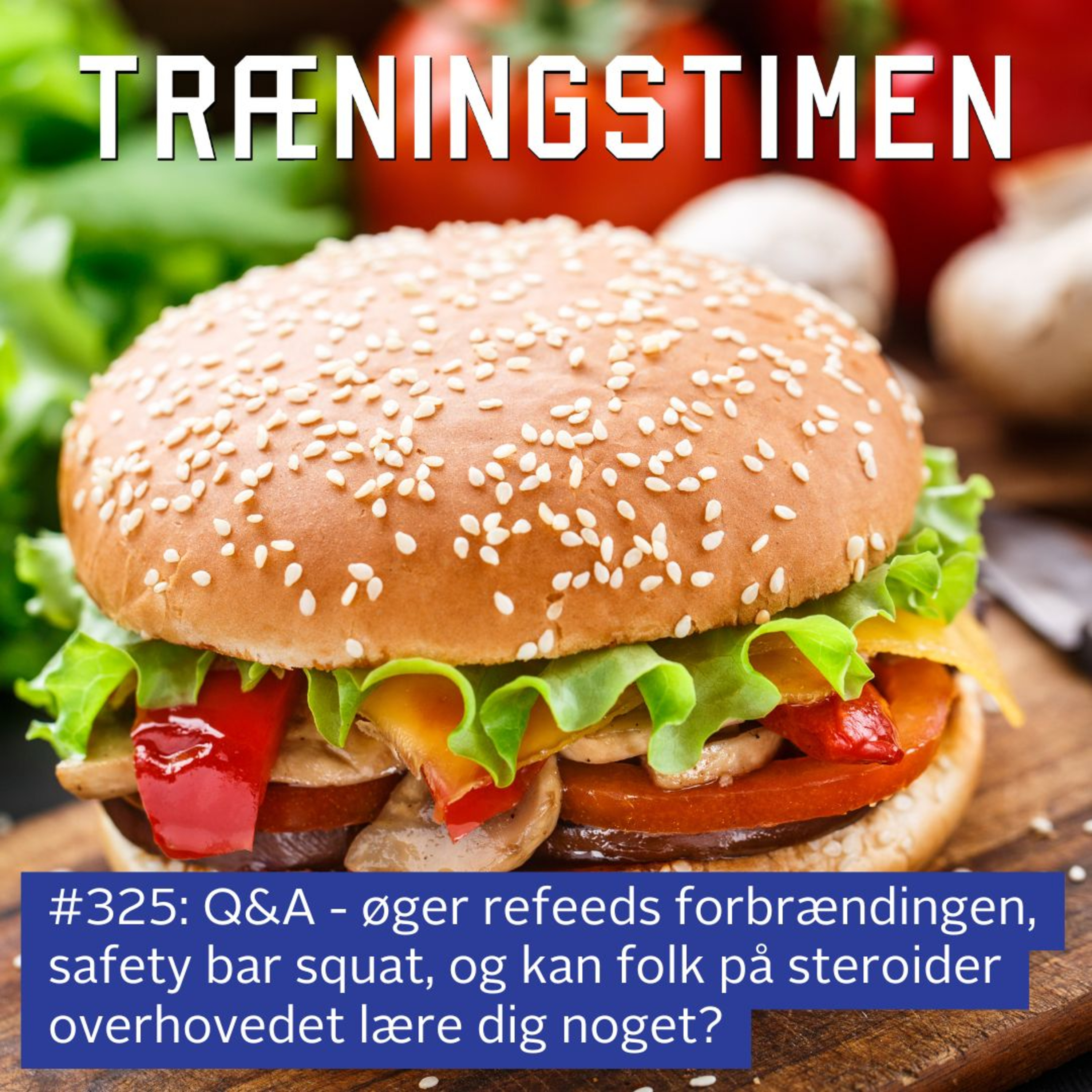 #325: Q&A - øger refeeds forbrændingen, safety bar squat, og kan folk på steroider overhovedet lære dig noget? episode artwork