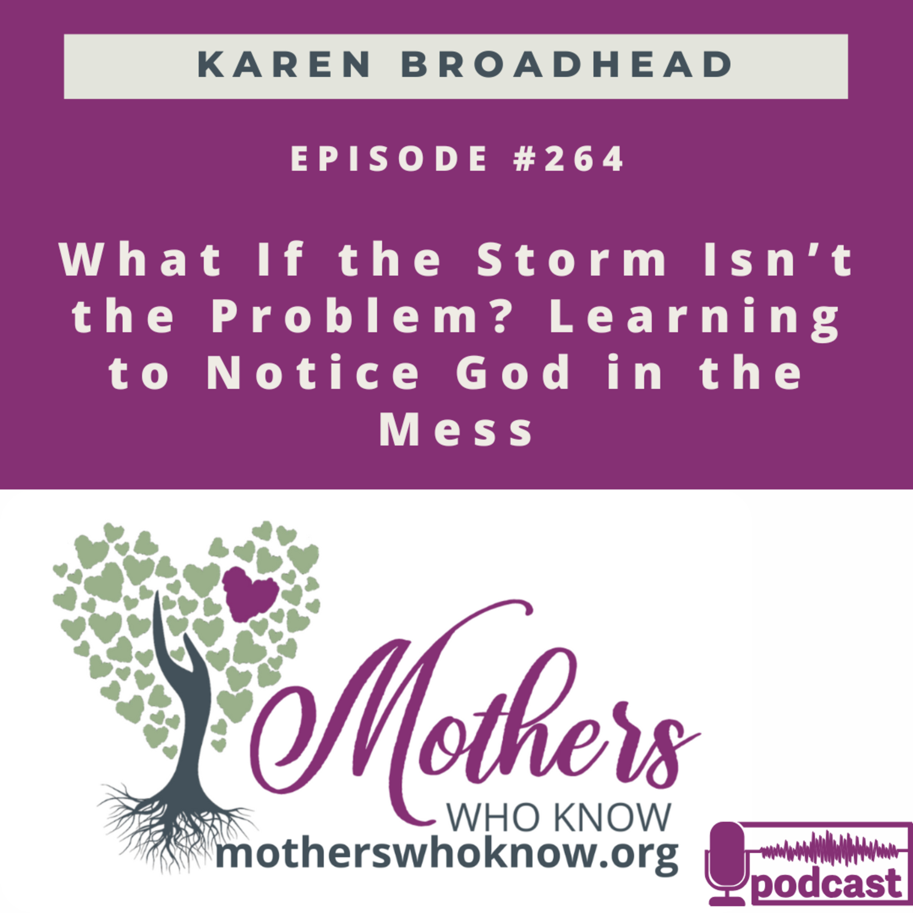 #264. What If the Storm Isn’t the Problem? Learning to Notice God in the Mess