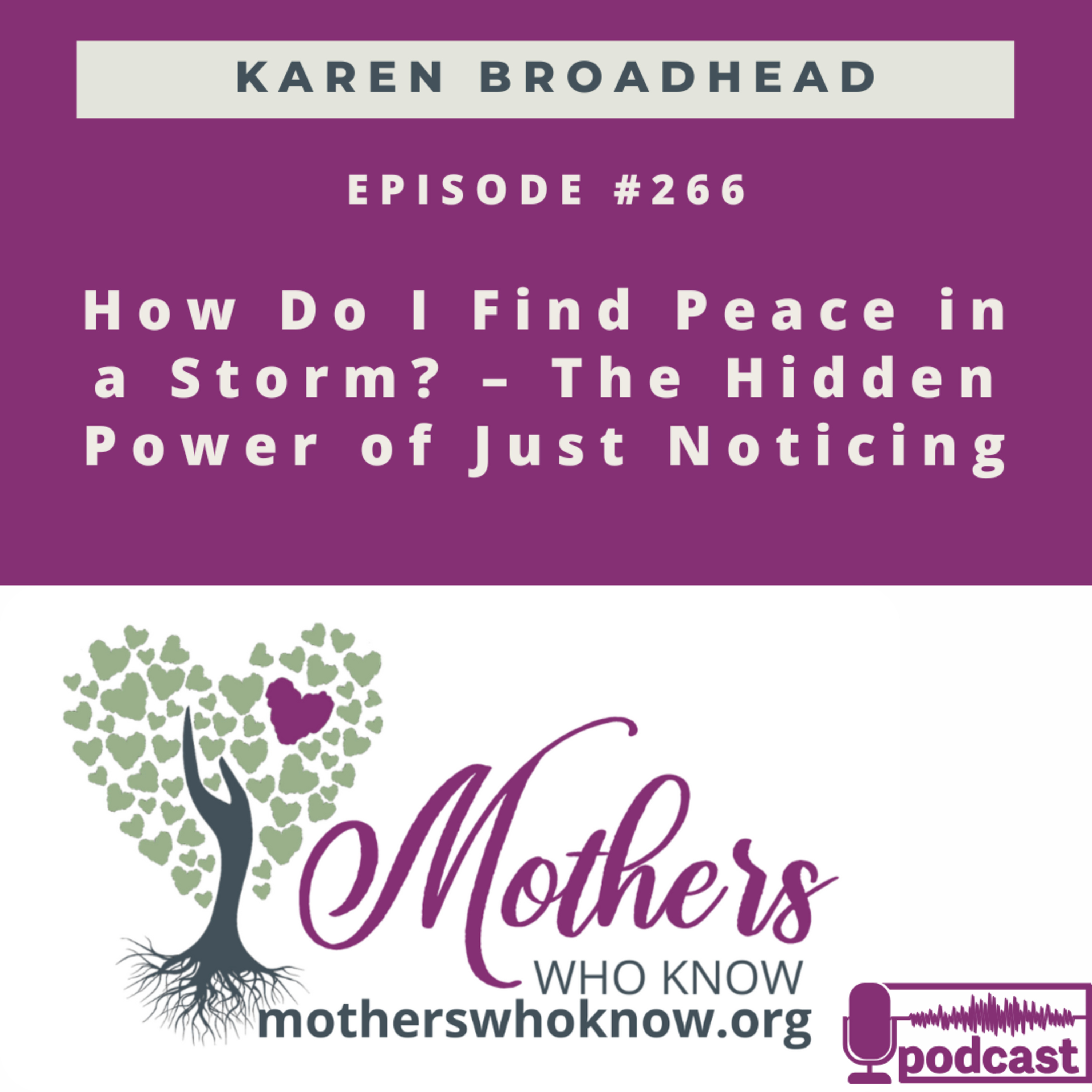 #266. How Do I Find Peace in a Storm? – The Hidden Power of Just Noticing