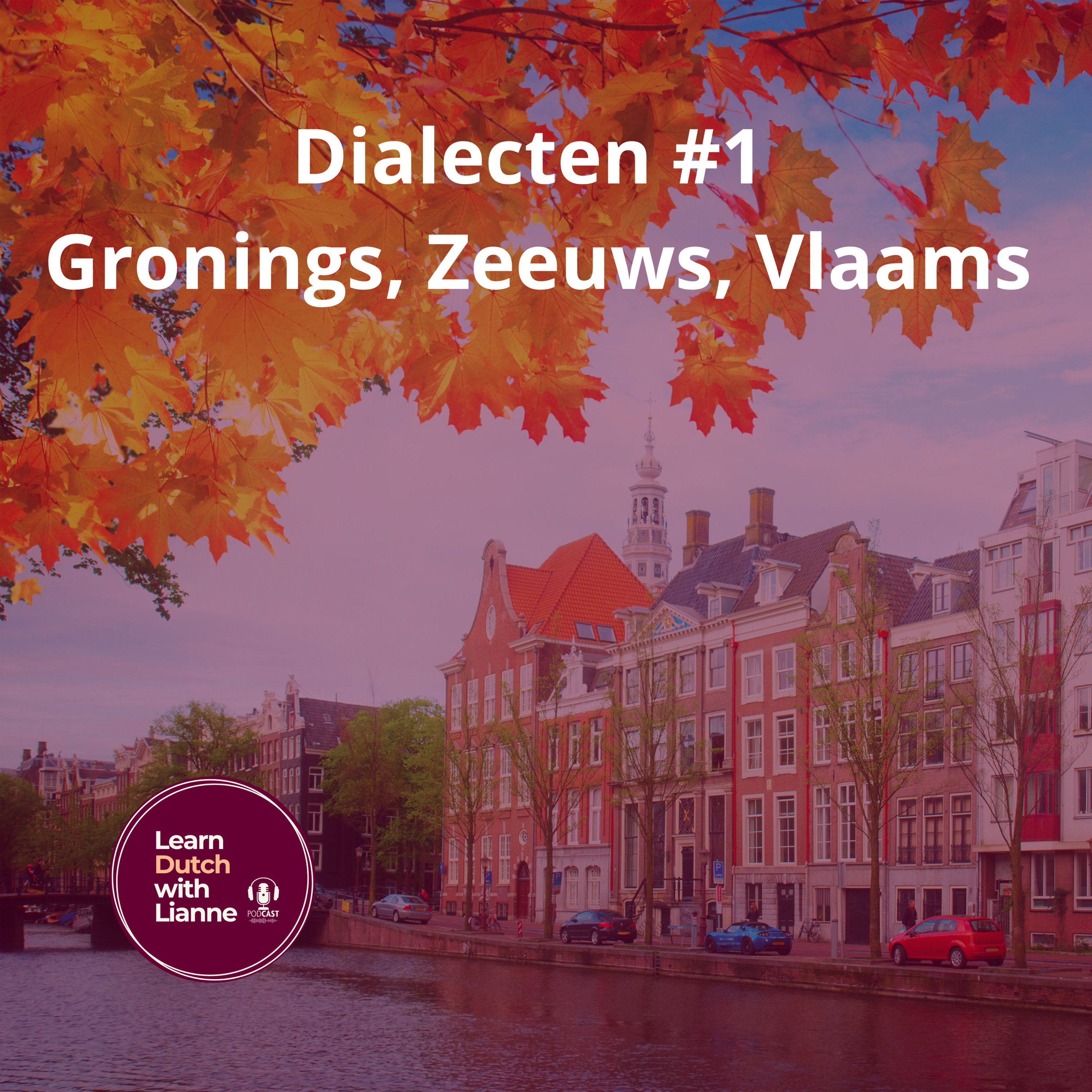 Learn Dutch with Lianne