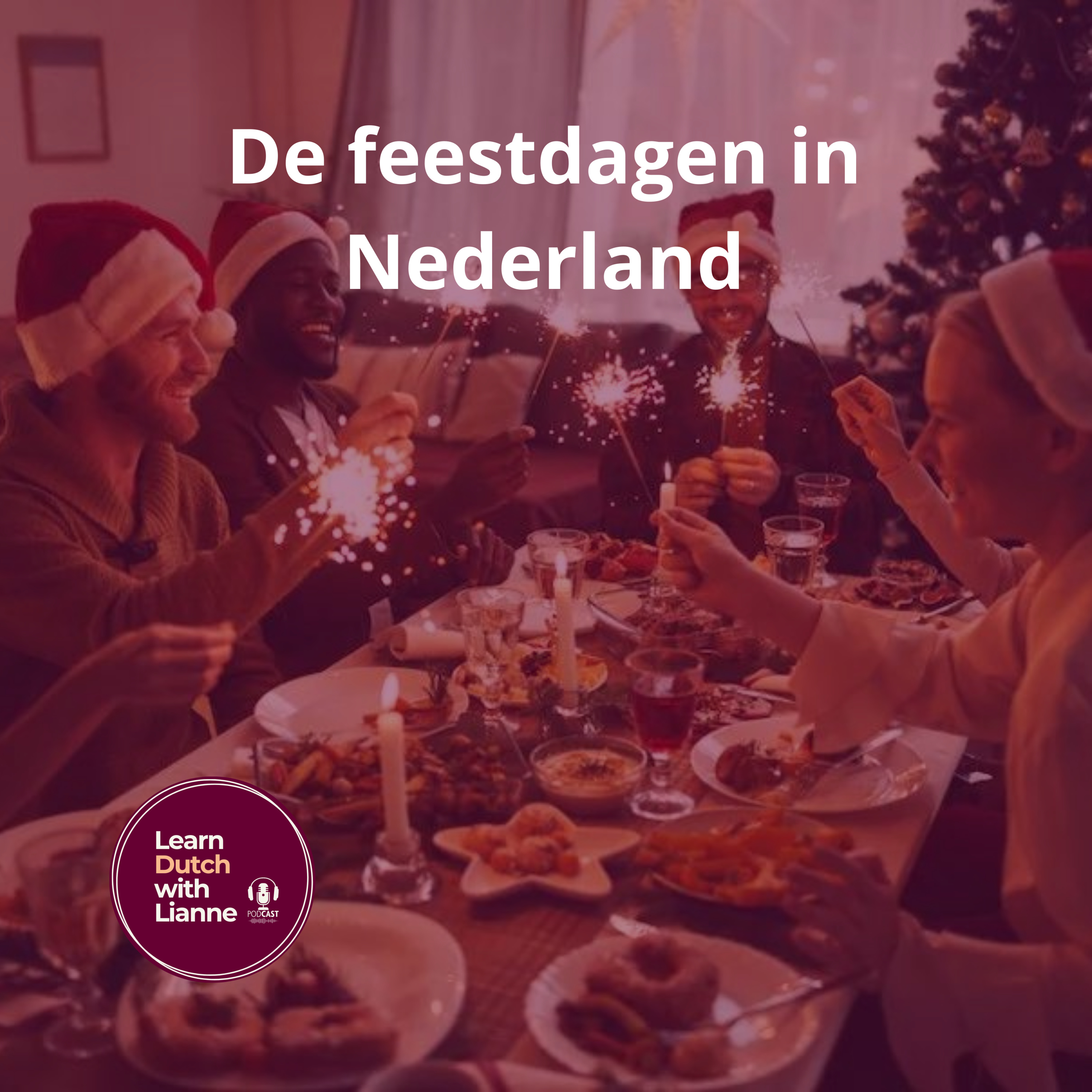 Afl. 9 - De feestdagen in Nederland episode artwork