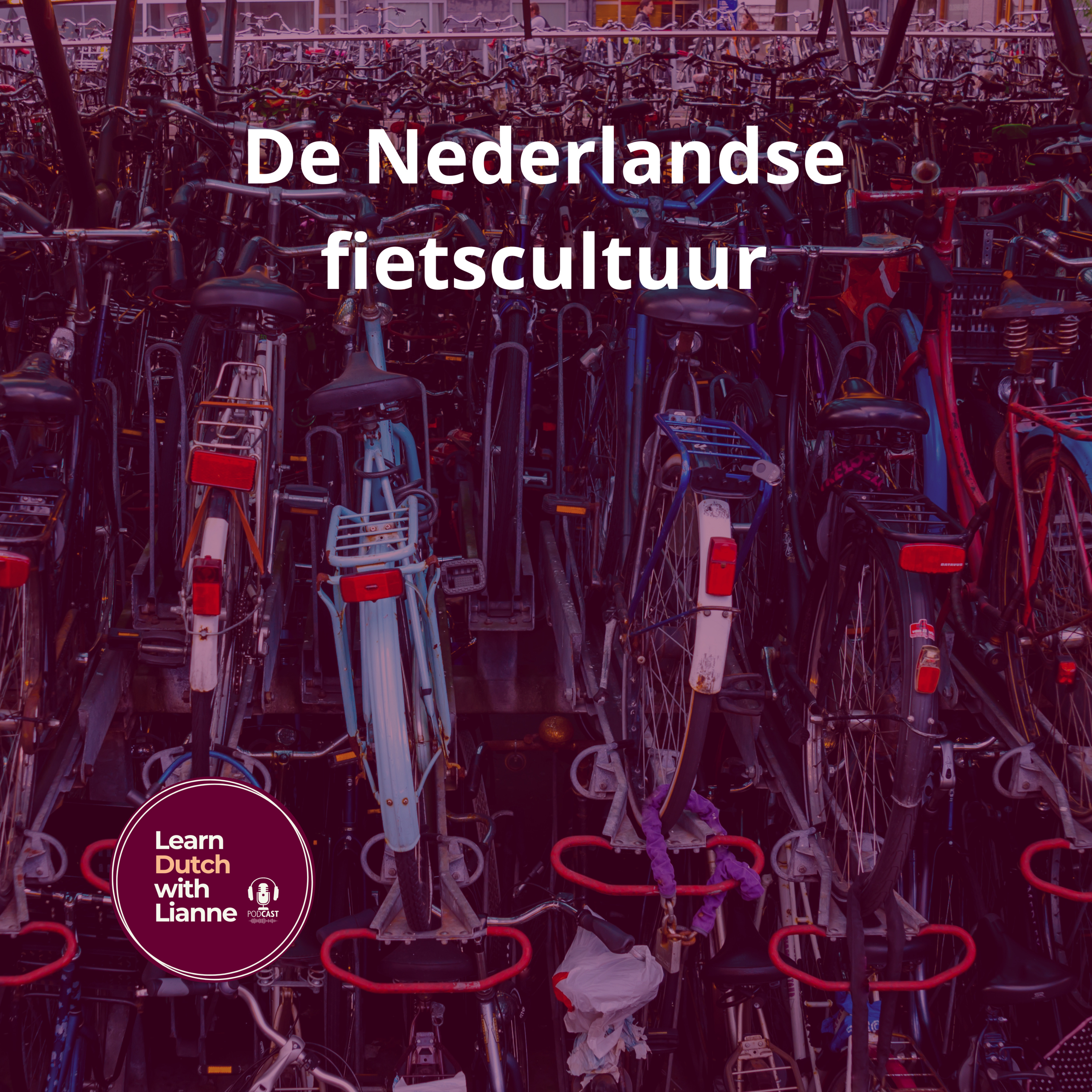 Afl. 13 - De Nederlandse fietscultuur episode artwork