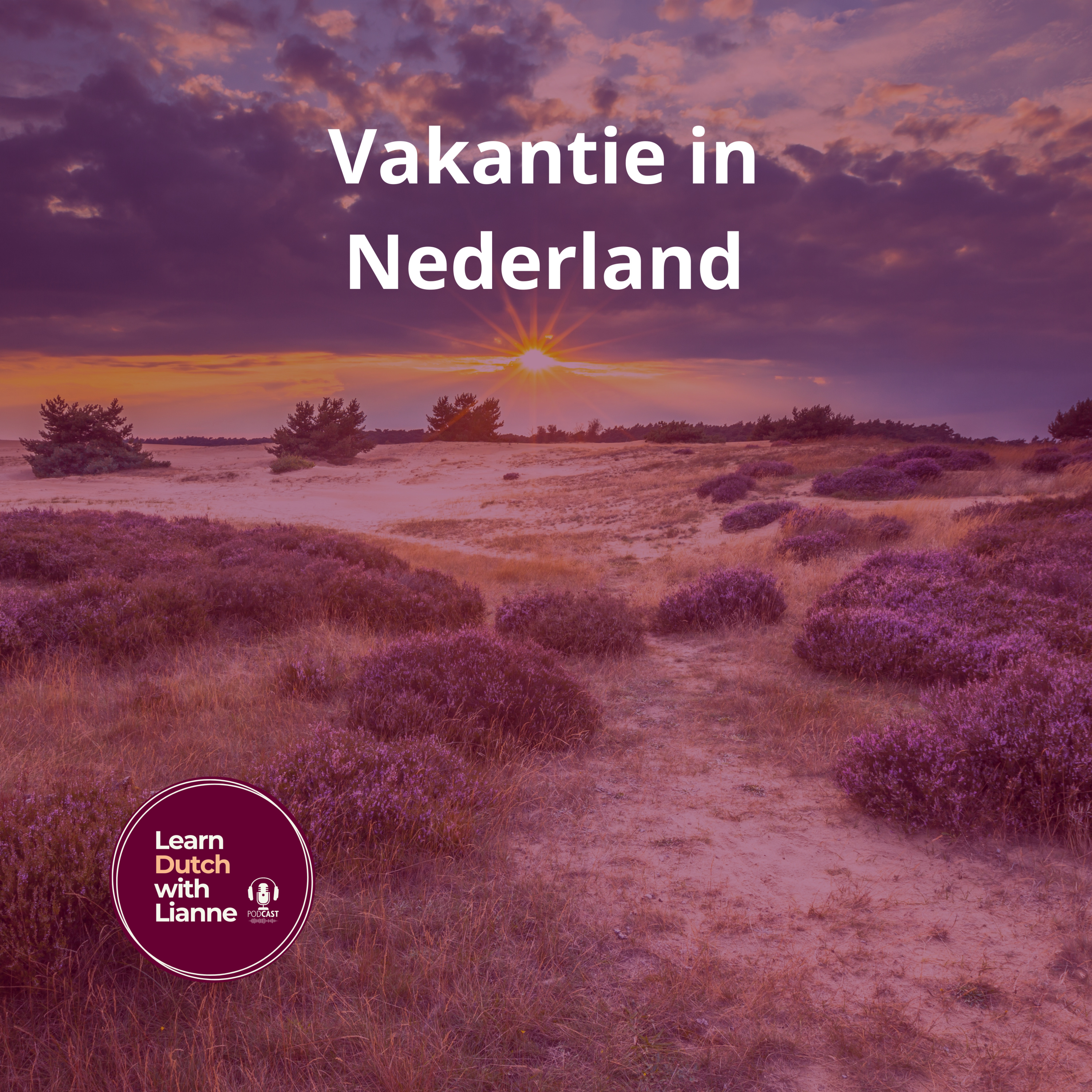 Afl. 14 - Vakantie in Nederland episode artwork
