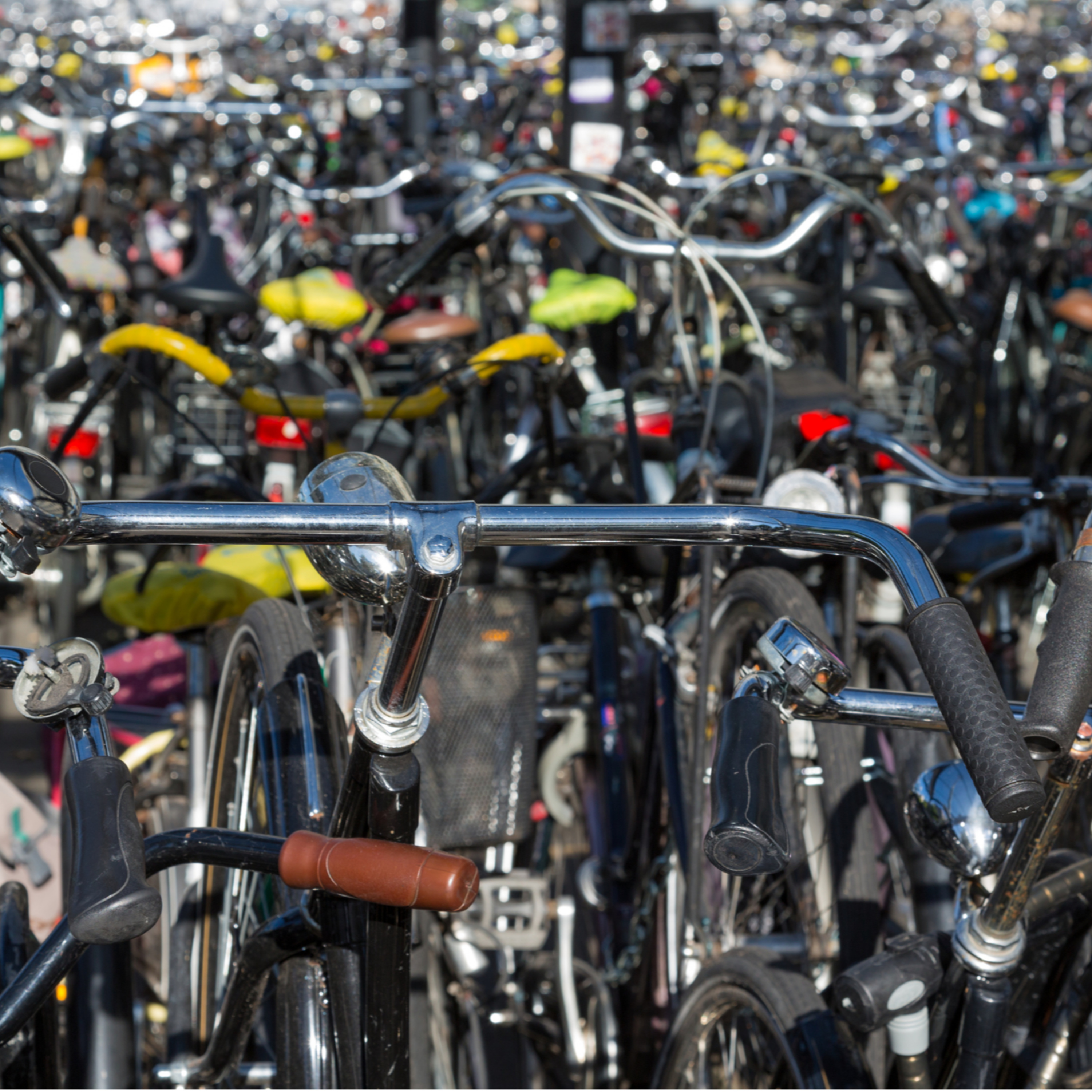 Afl. 13 - De Nederlandse fietscultuur episode artwork