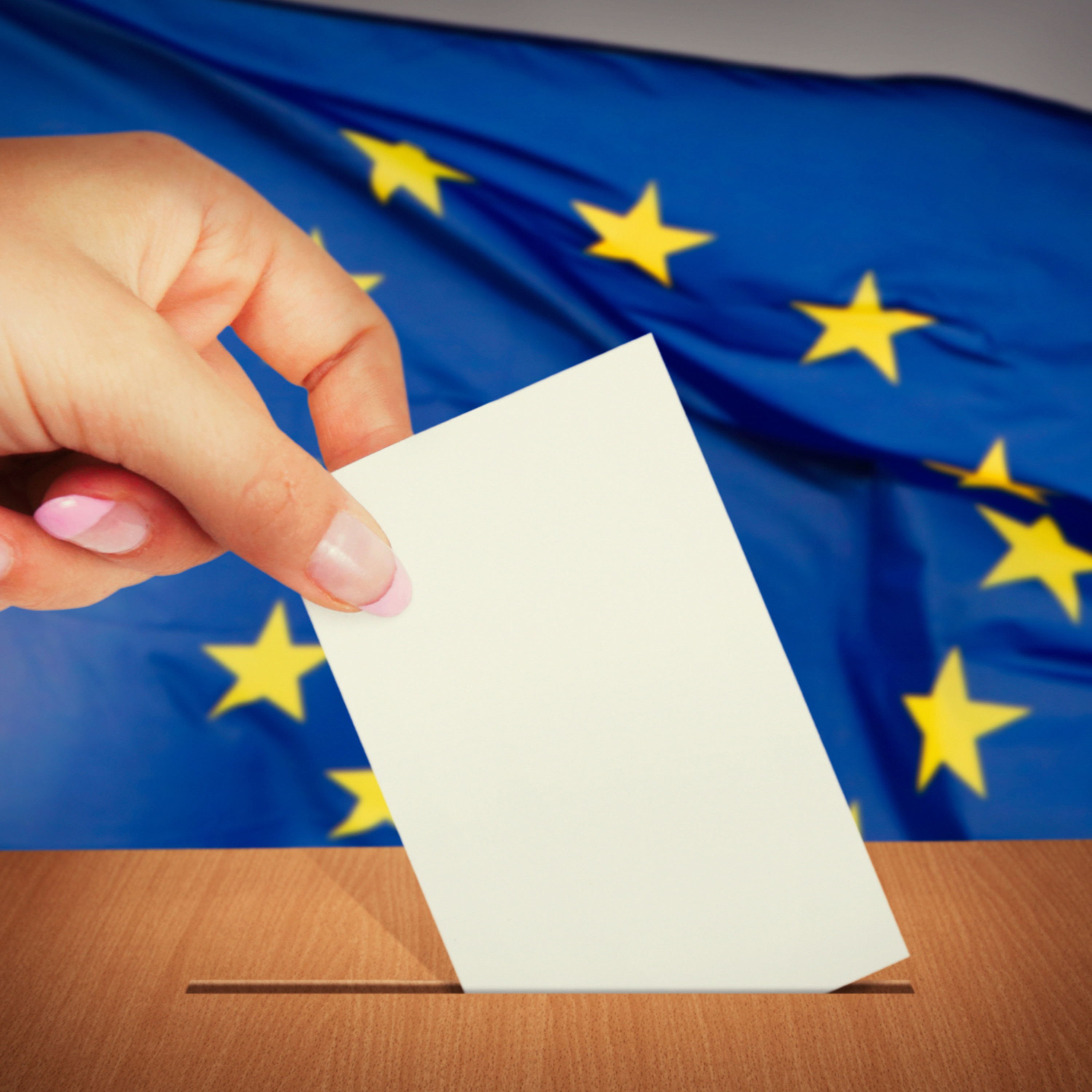Afl. 24 - De Europese verkiezingen episode artwork