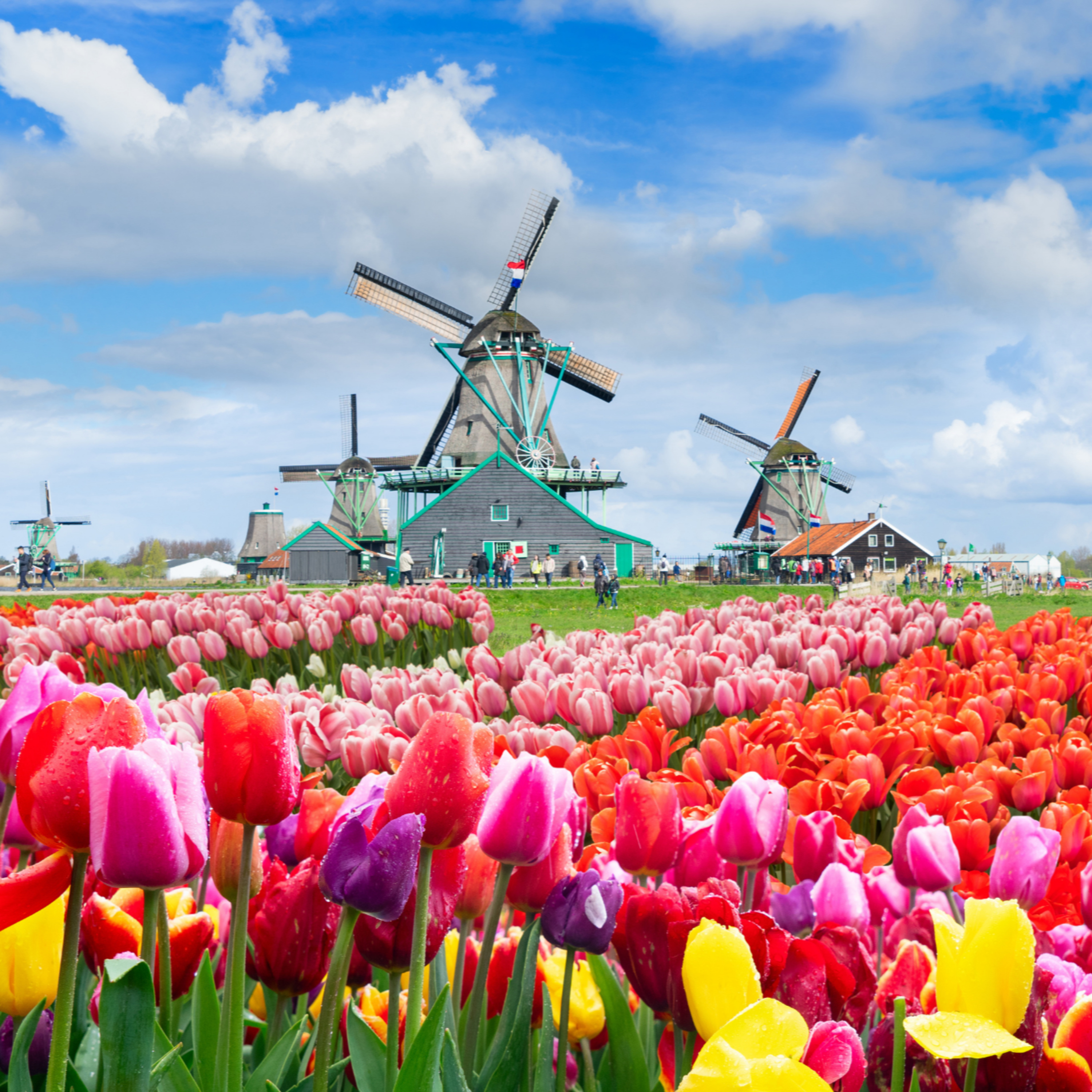 Afl. 23 - Lente in Nederland episode artwork