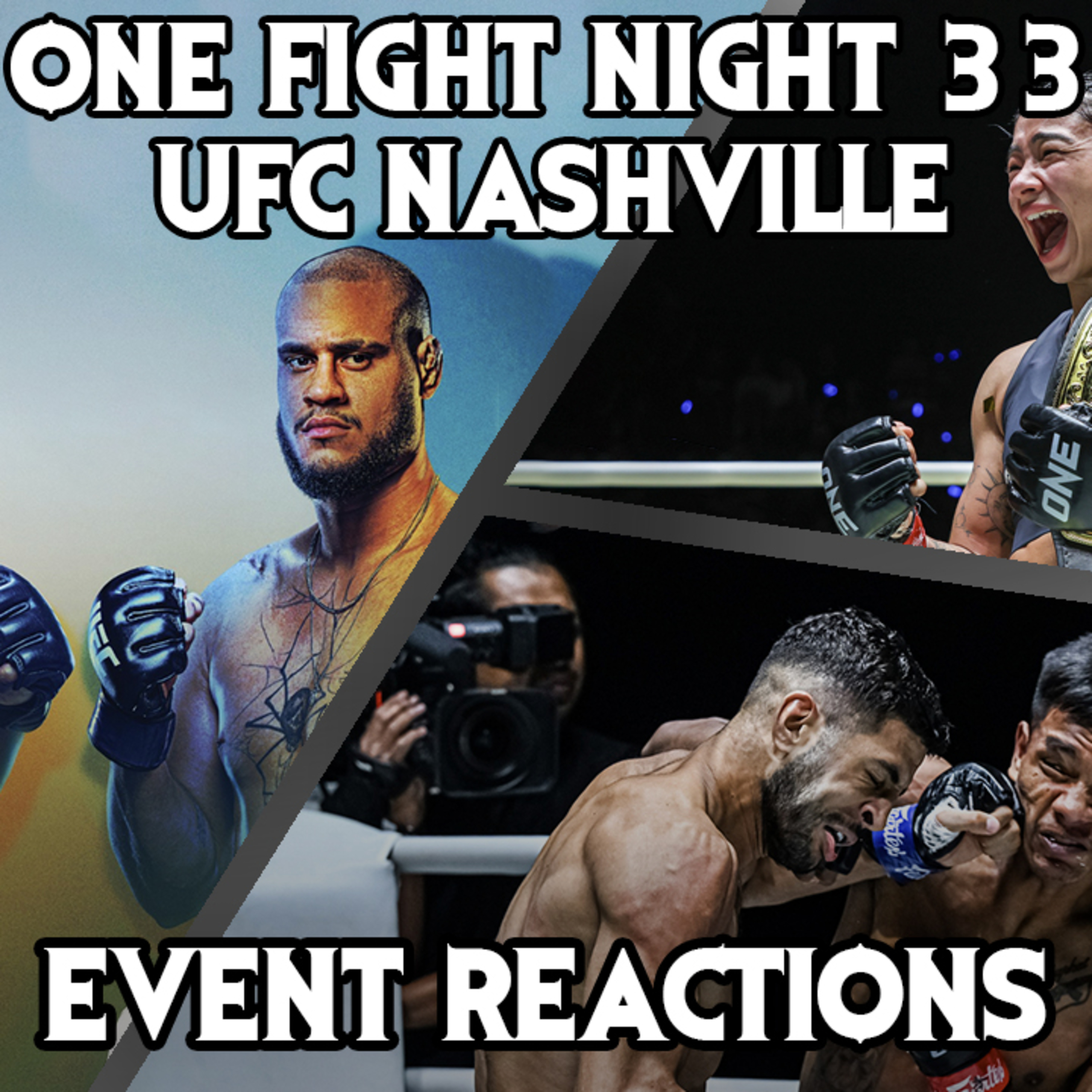 Story of the Fight