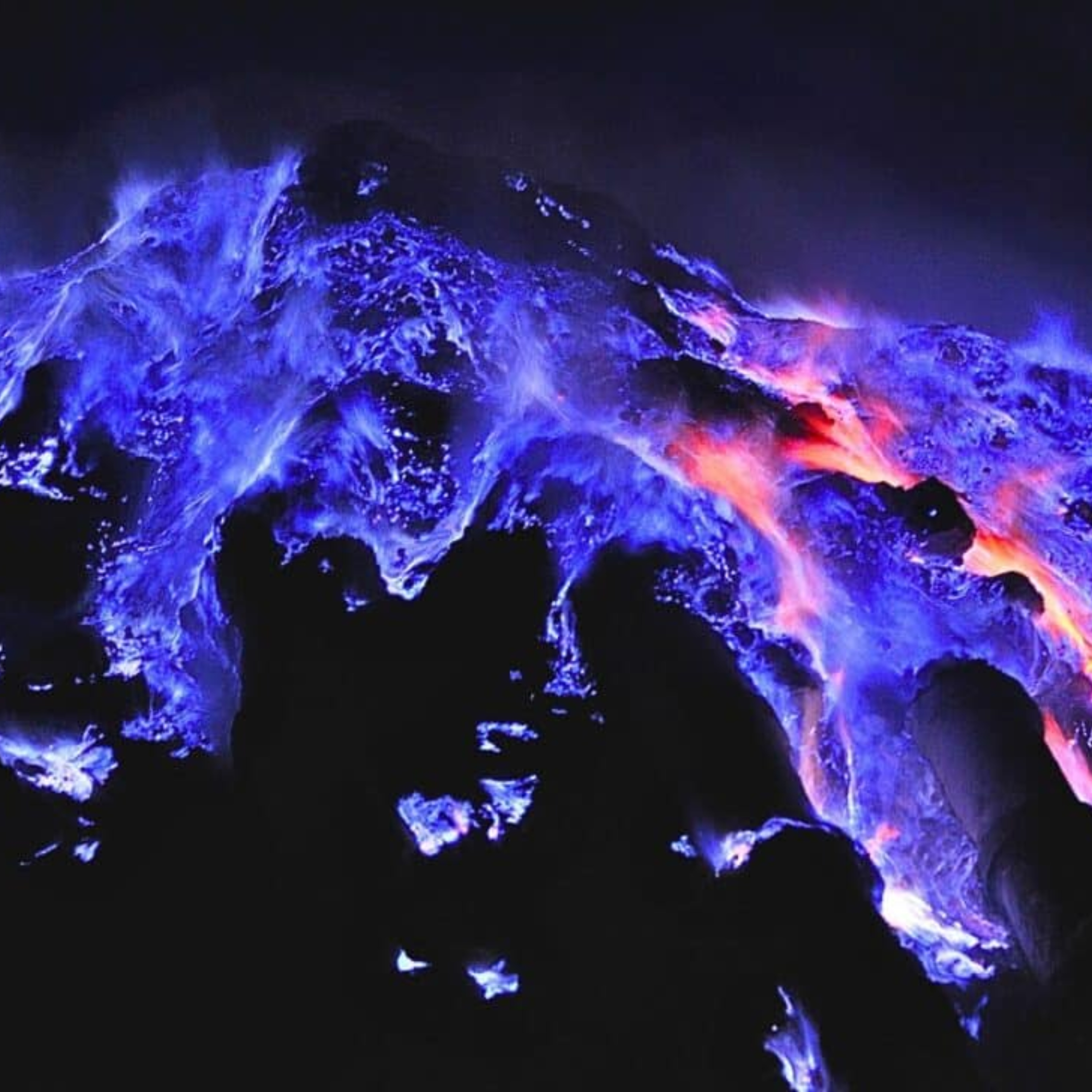 Portada de Una voz, una ciencia