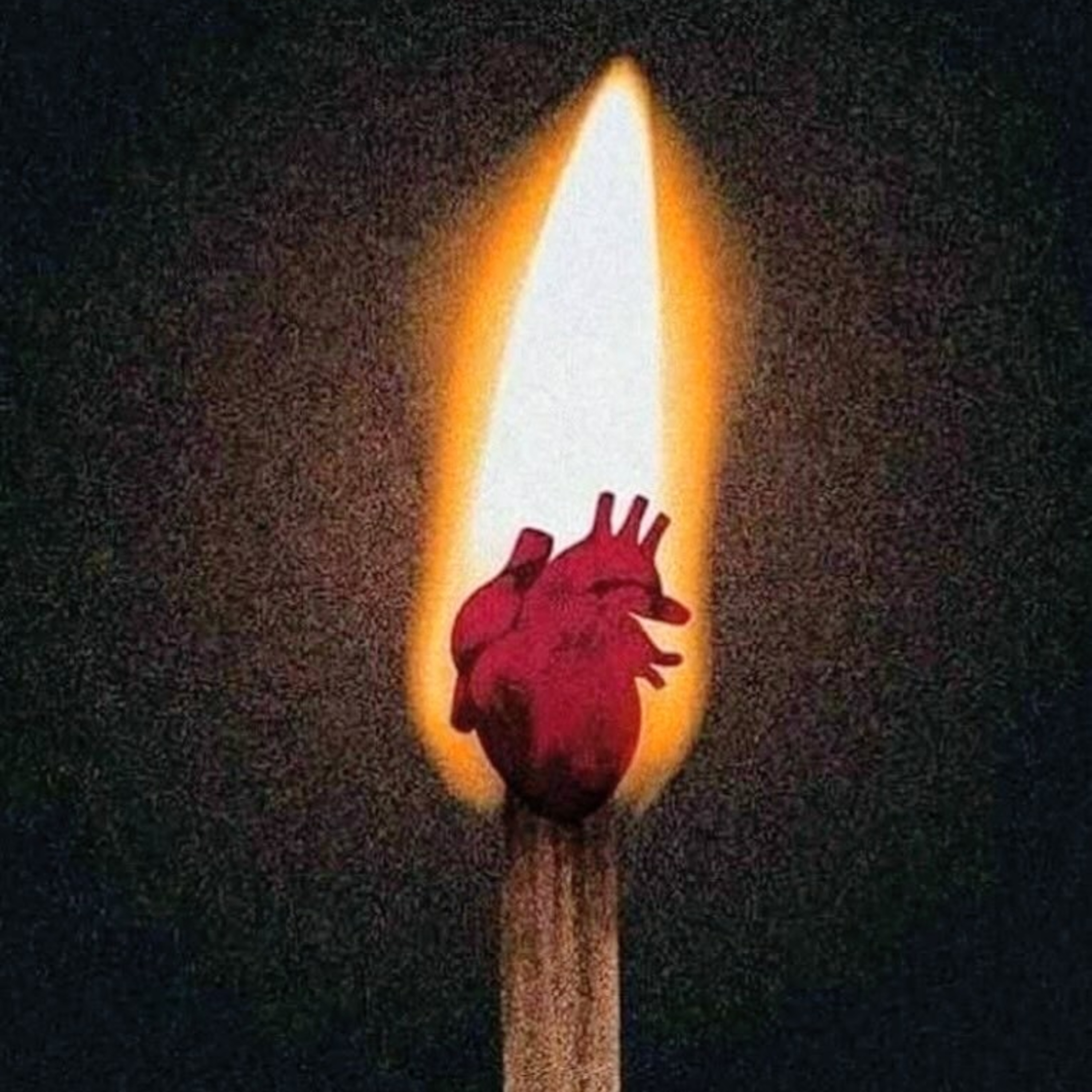 مردم‌شاهی ۲۵ (جمهوری ایرانی) episode artwork