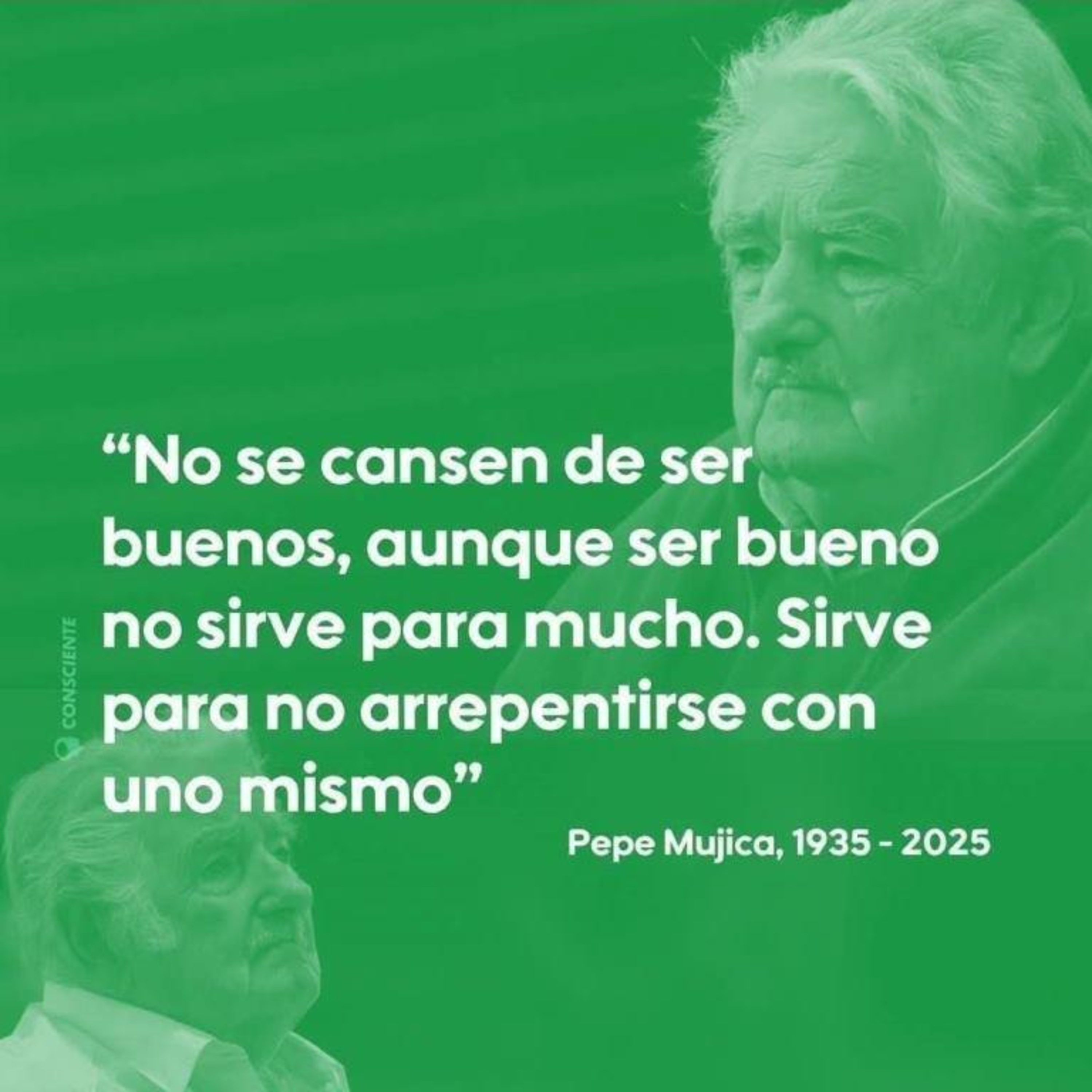 Como sal y luz. La magia de la bondad