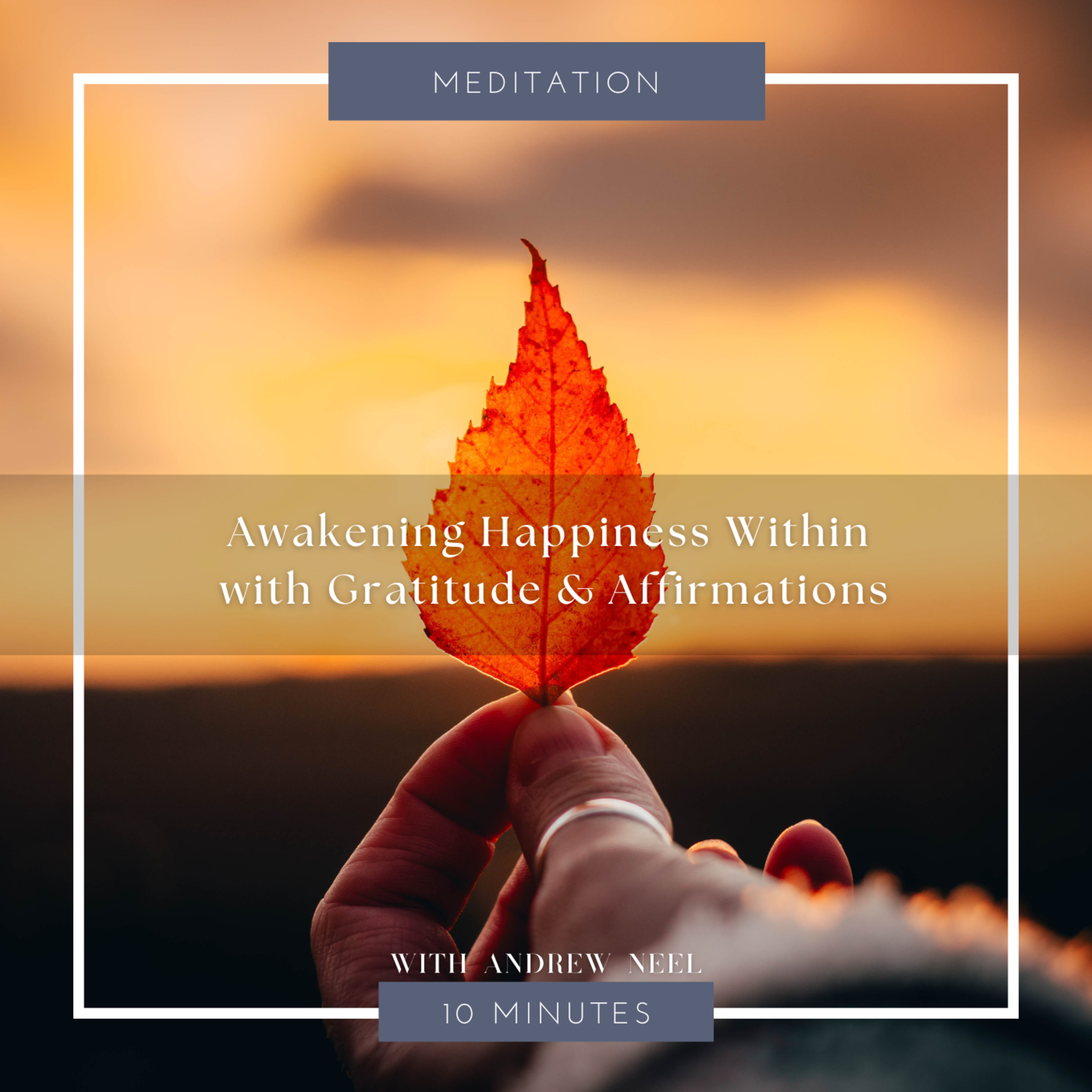 Meditations and Wisdom