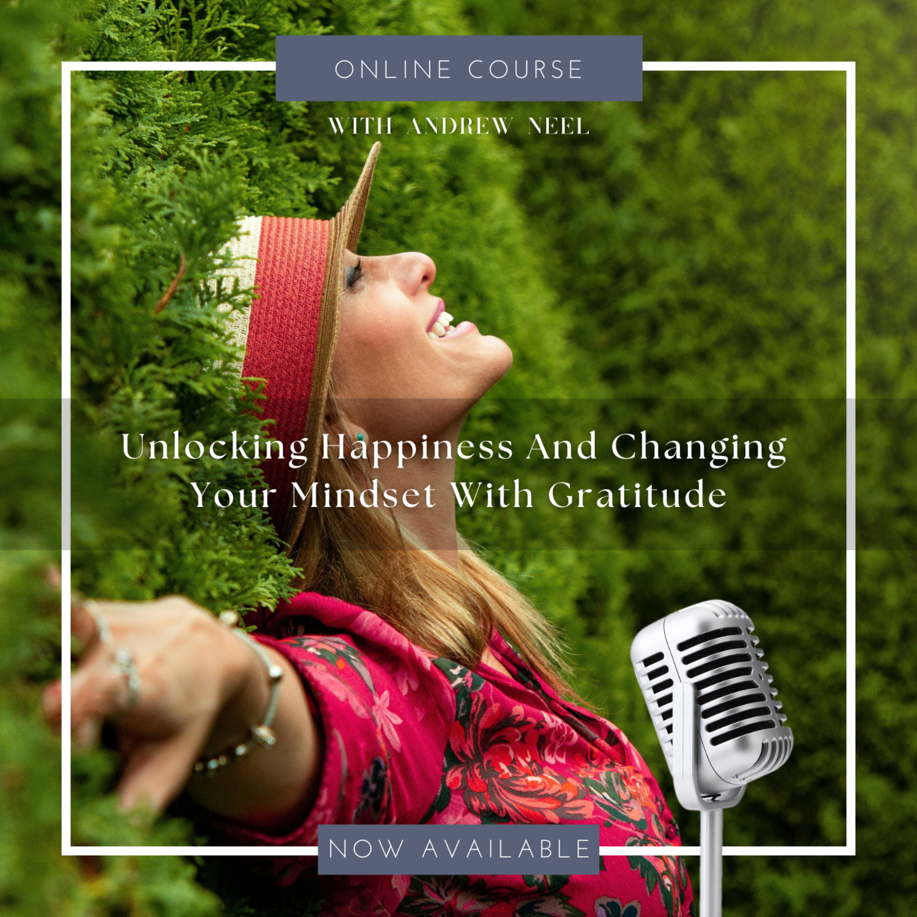 Meditations and Wisdom