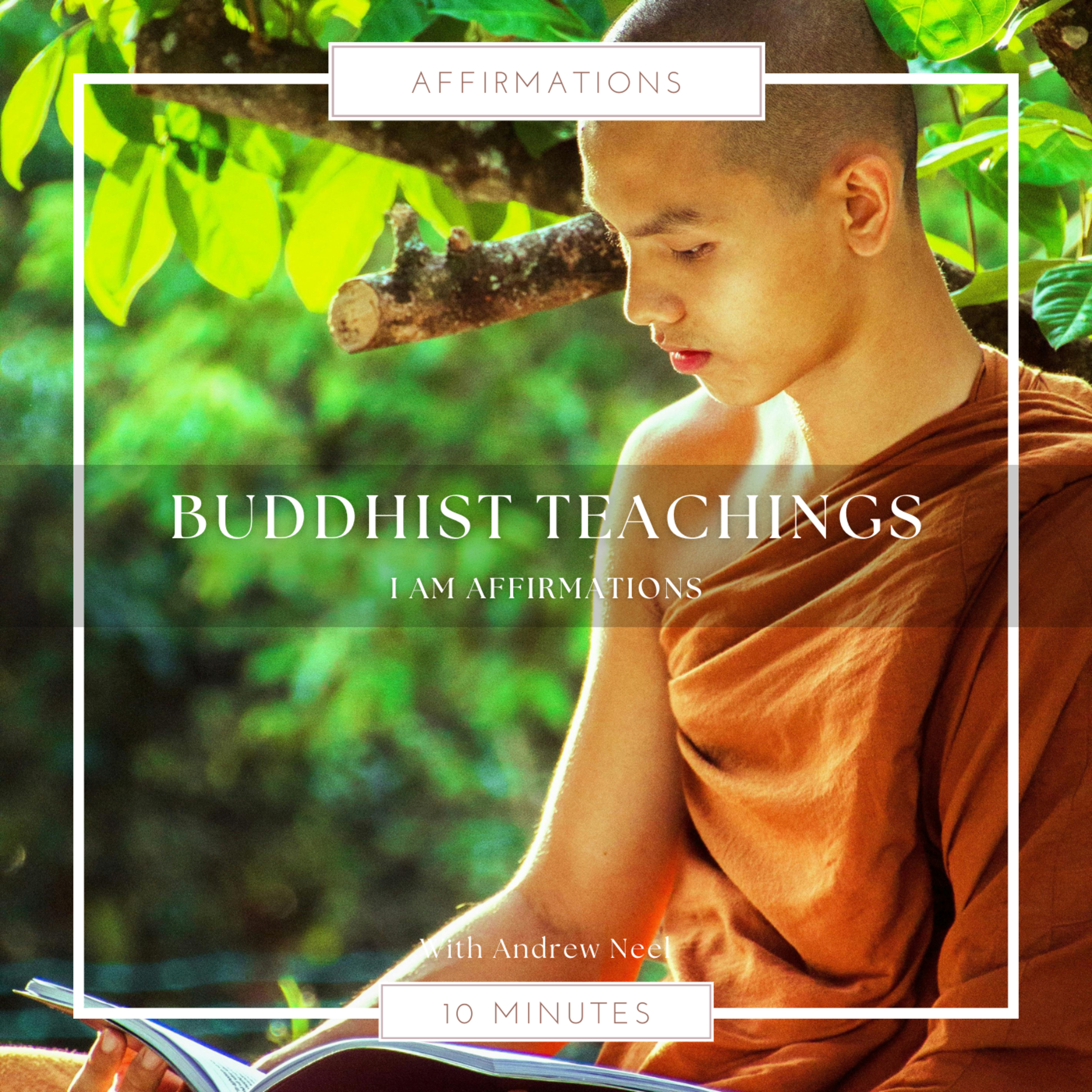 Meditations and Wisdom