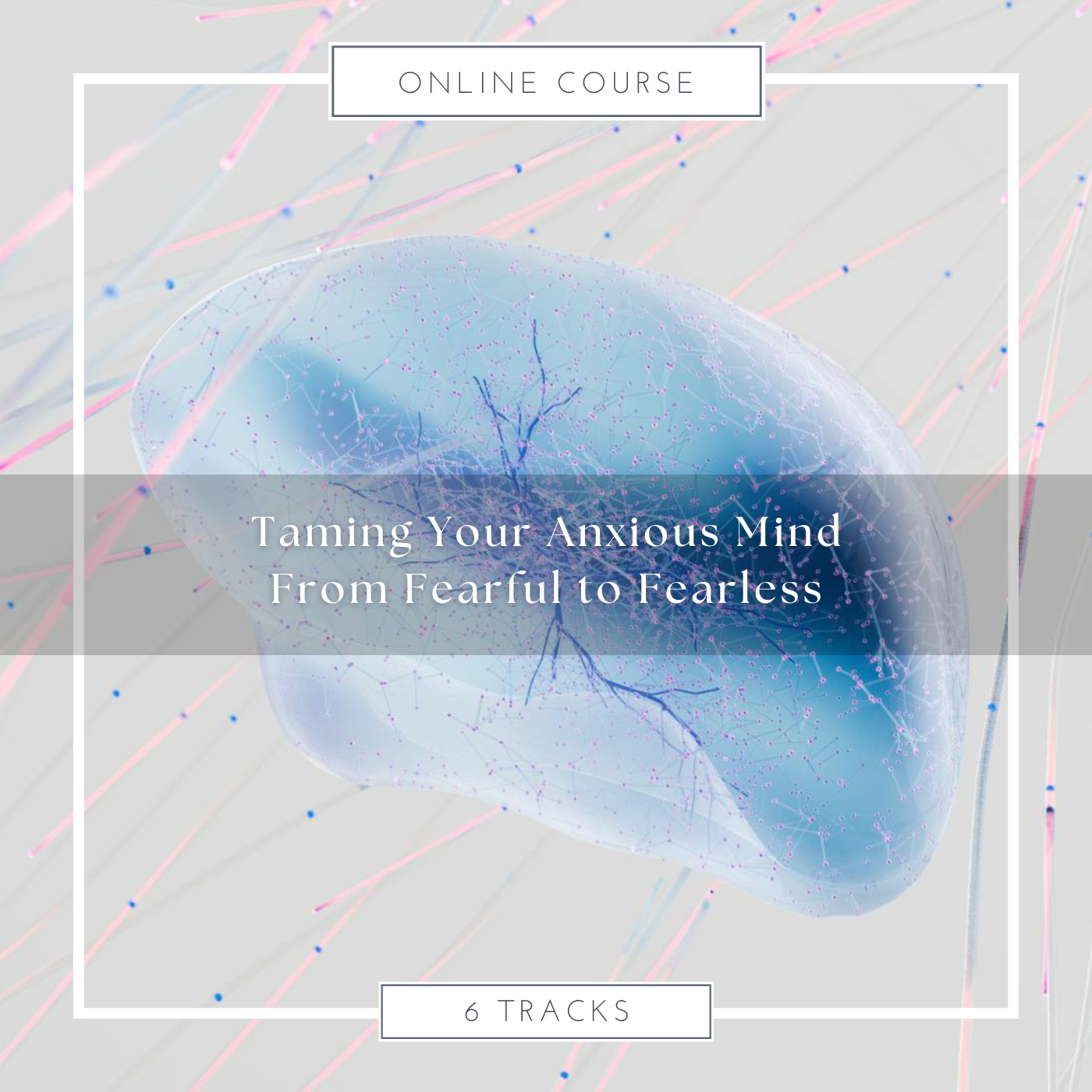 Meditations and Wisdom