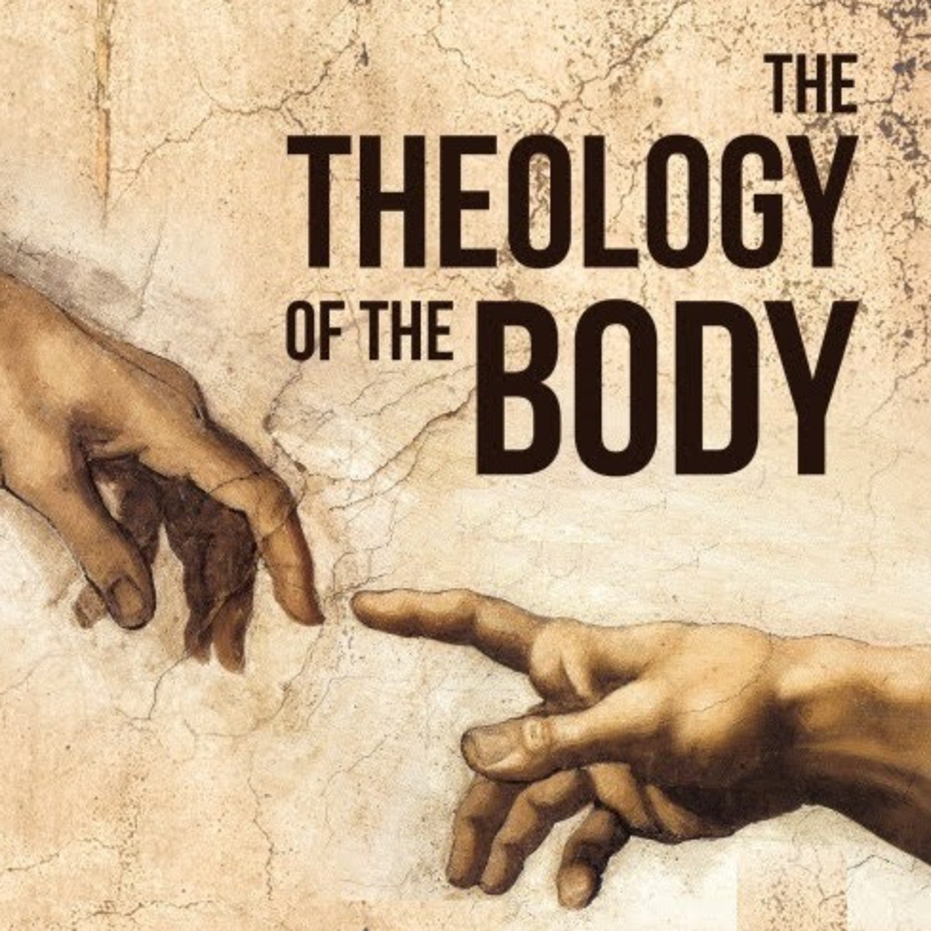 TOB 1. The Unity and Indissolubility of Marriage episode artwork