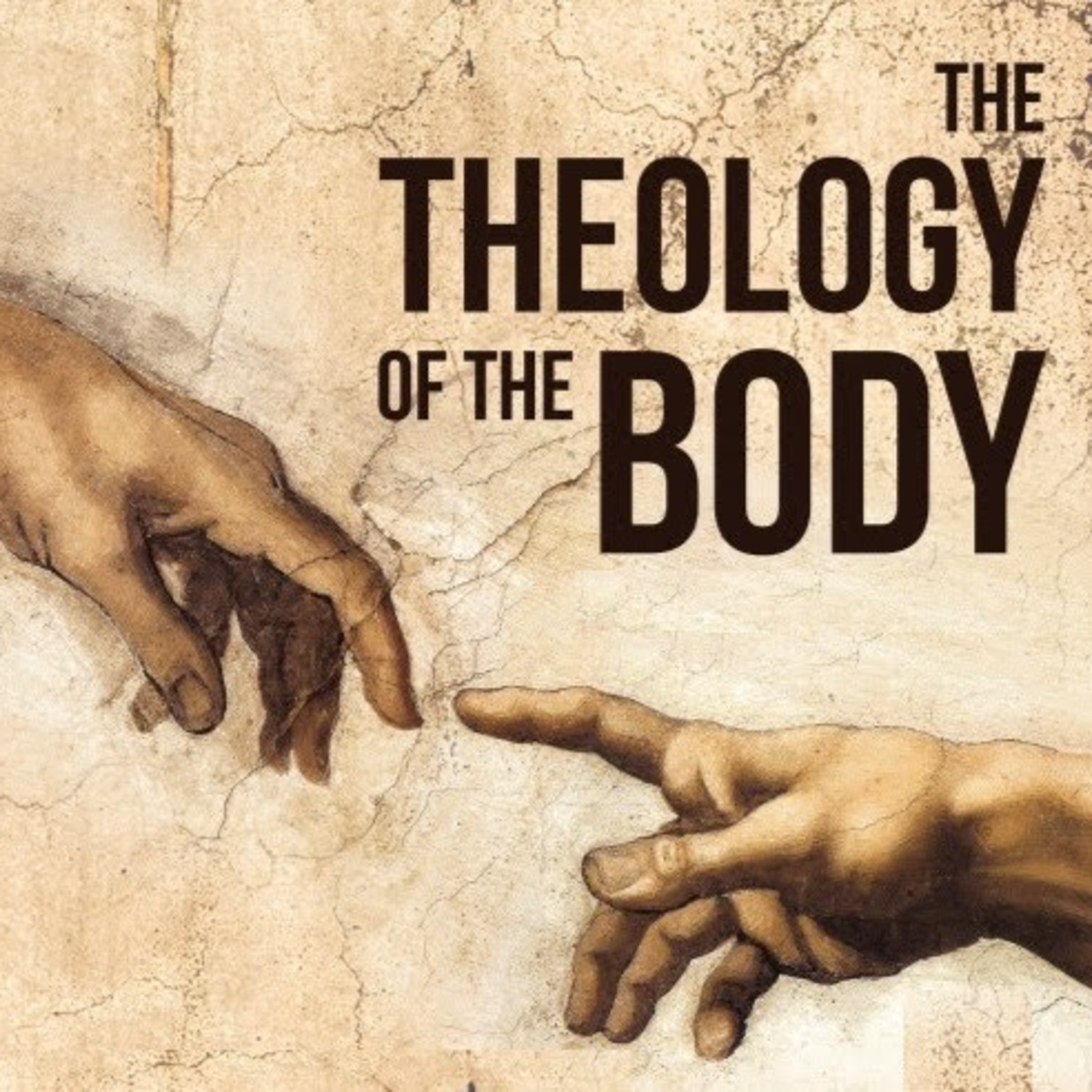 TOB 22. The Knowledge-Generation Cycle and the Perspective of Death episode artwork