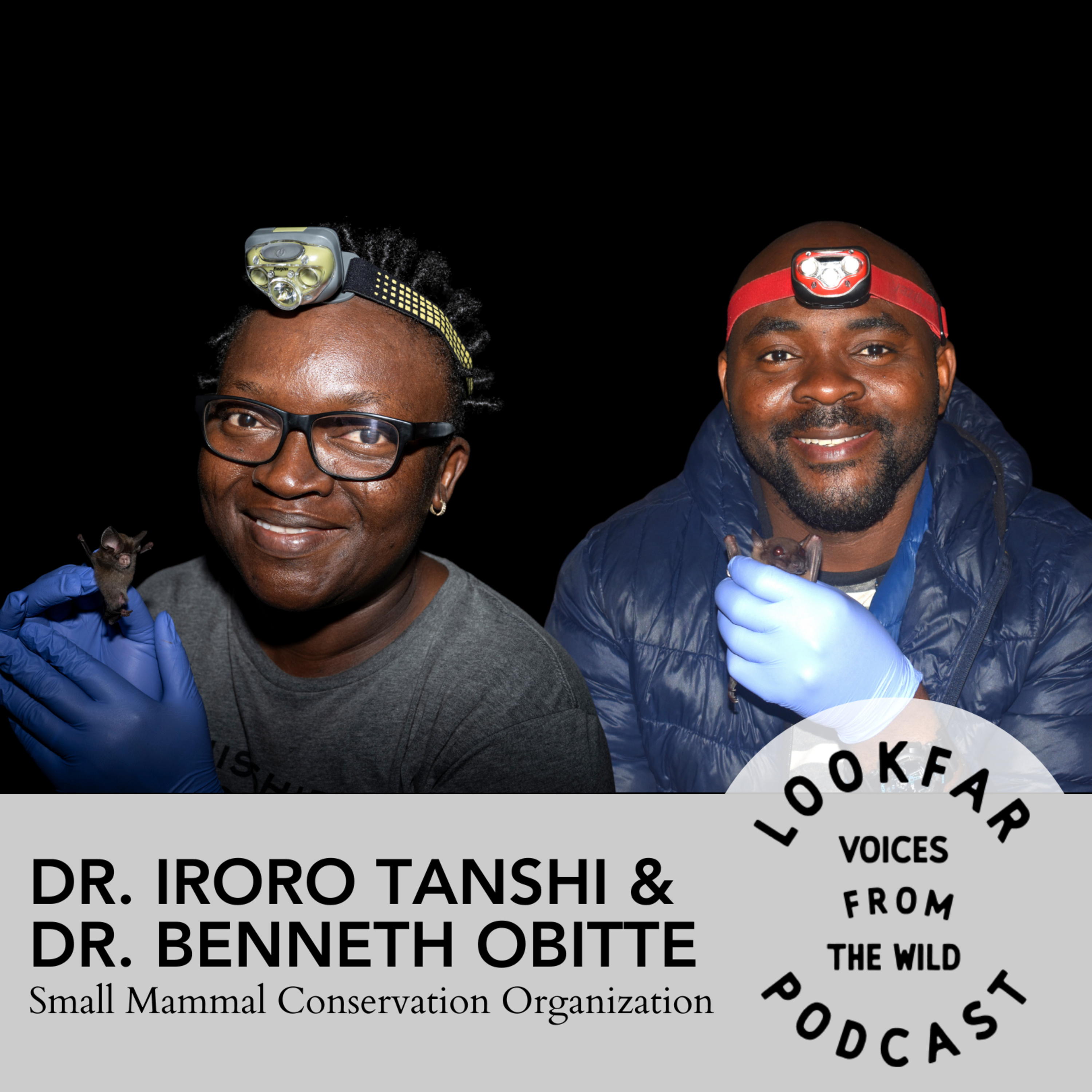 The Lookfar Podcast: Voices from the Wild