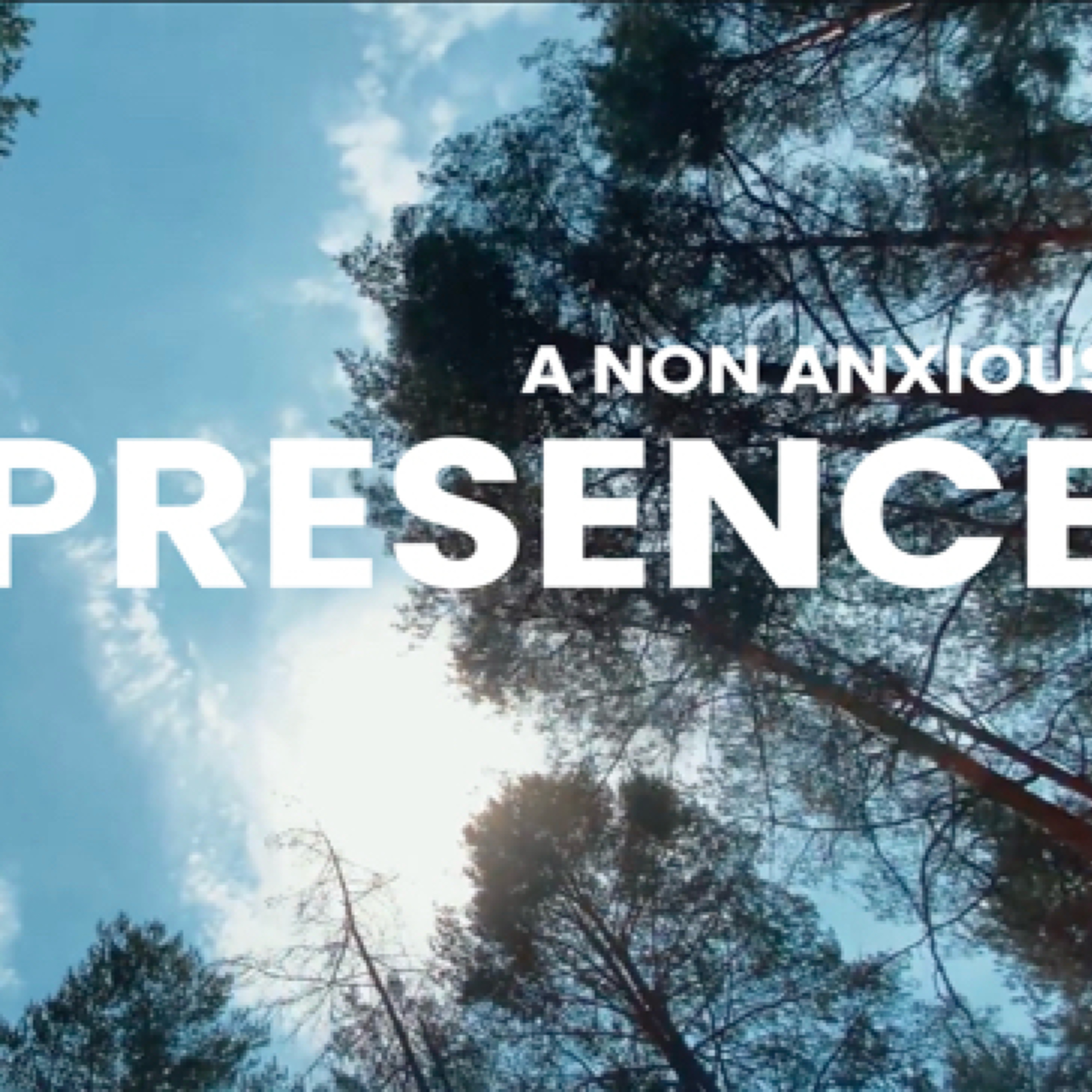 a Non Anxious Presence - part 4