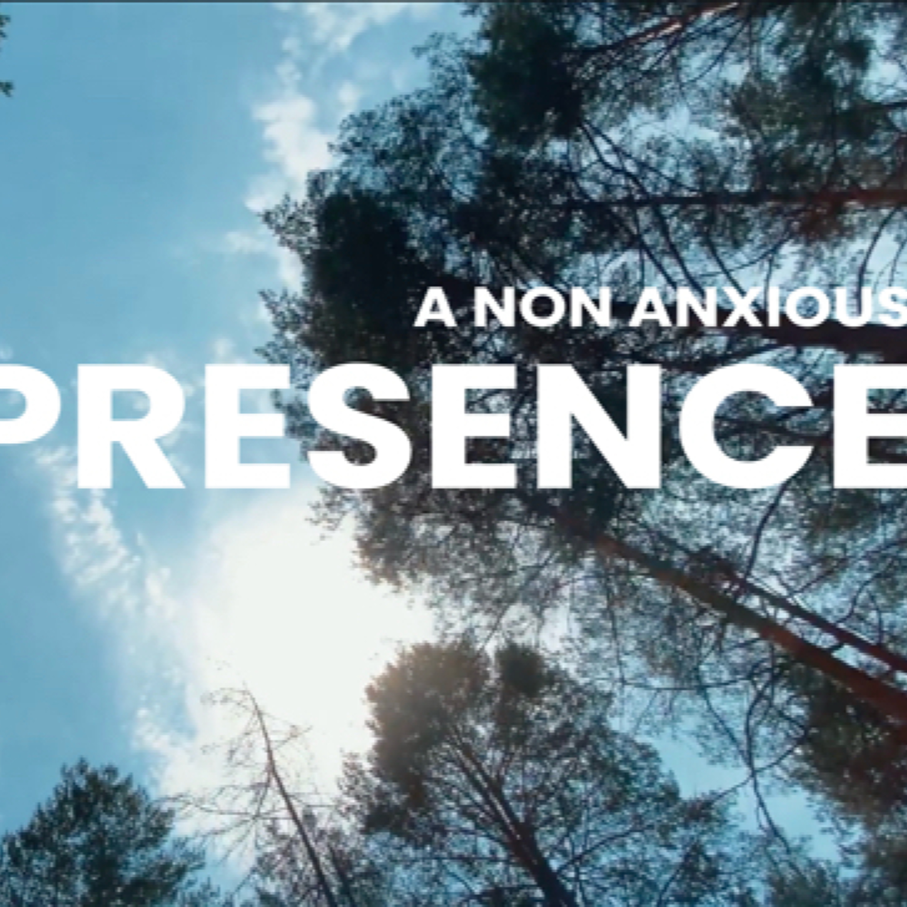 a Non Anxious Presence - part 3