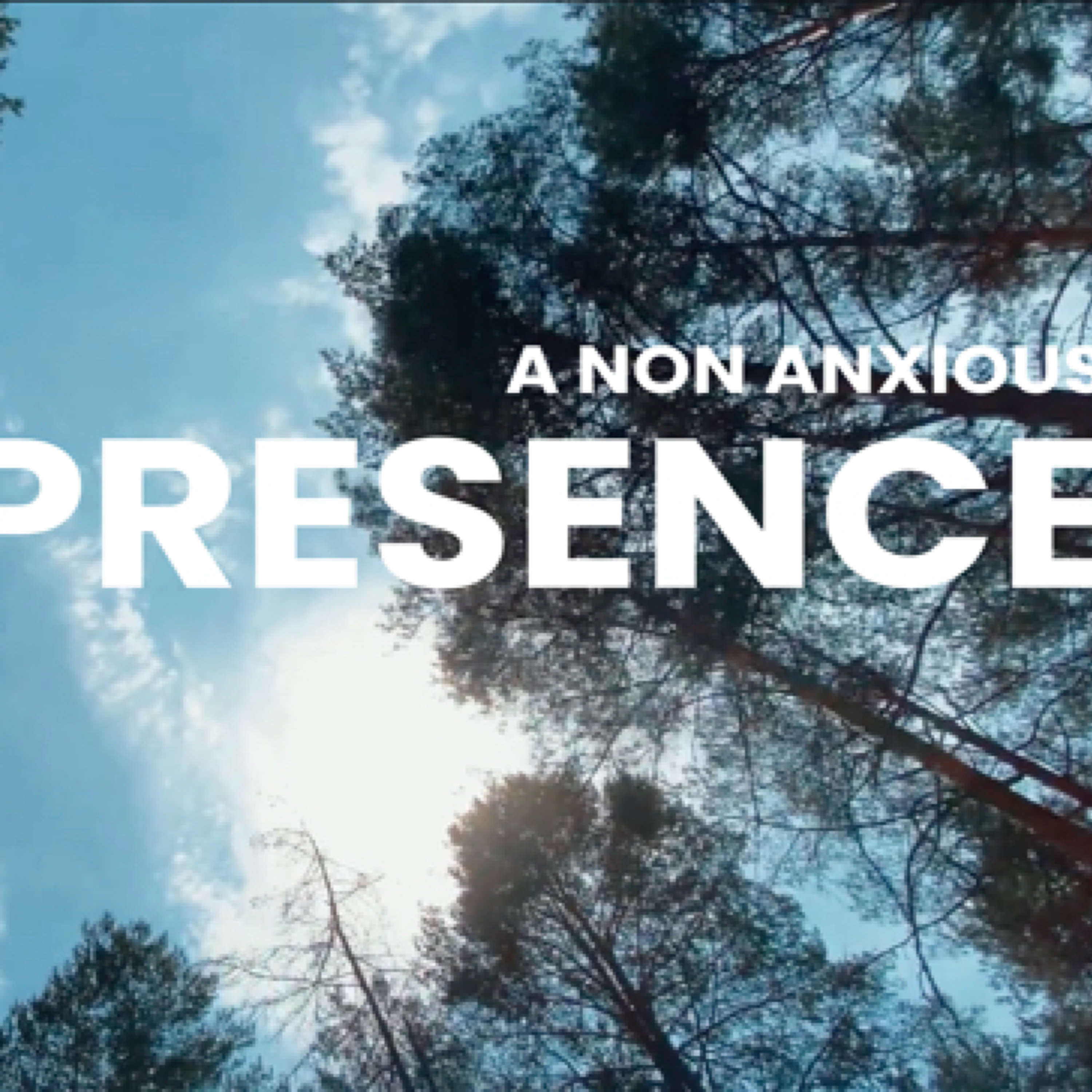 Non Anxious Presence - extra resource