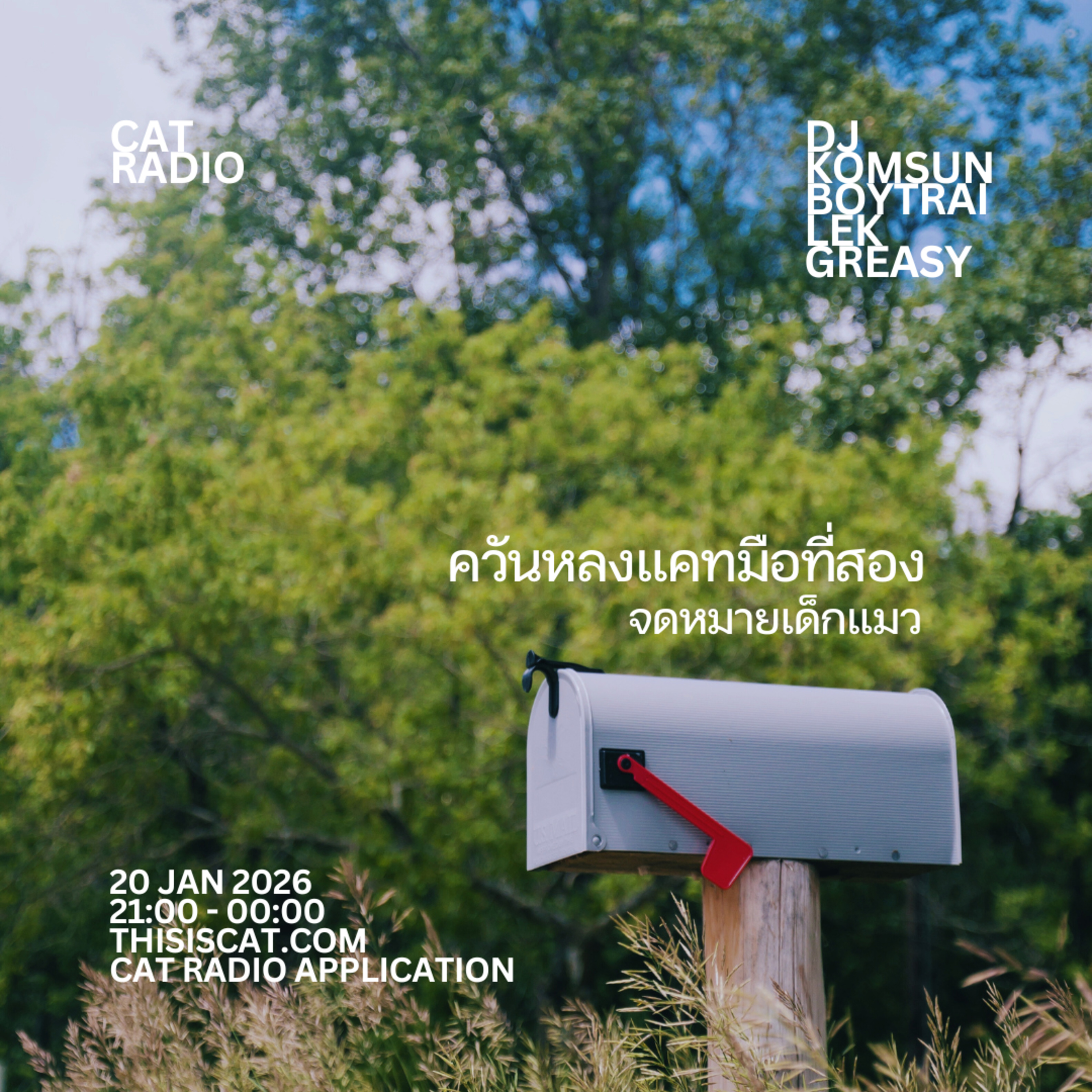 ควันหลงแคทมือที่สอง #จดหมายเด็กแมว episode artwork