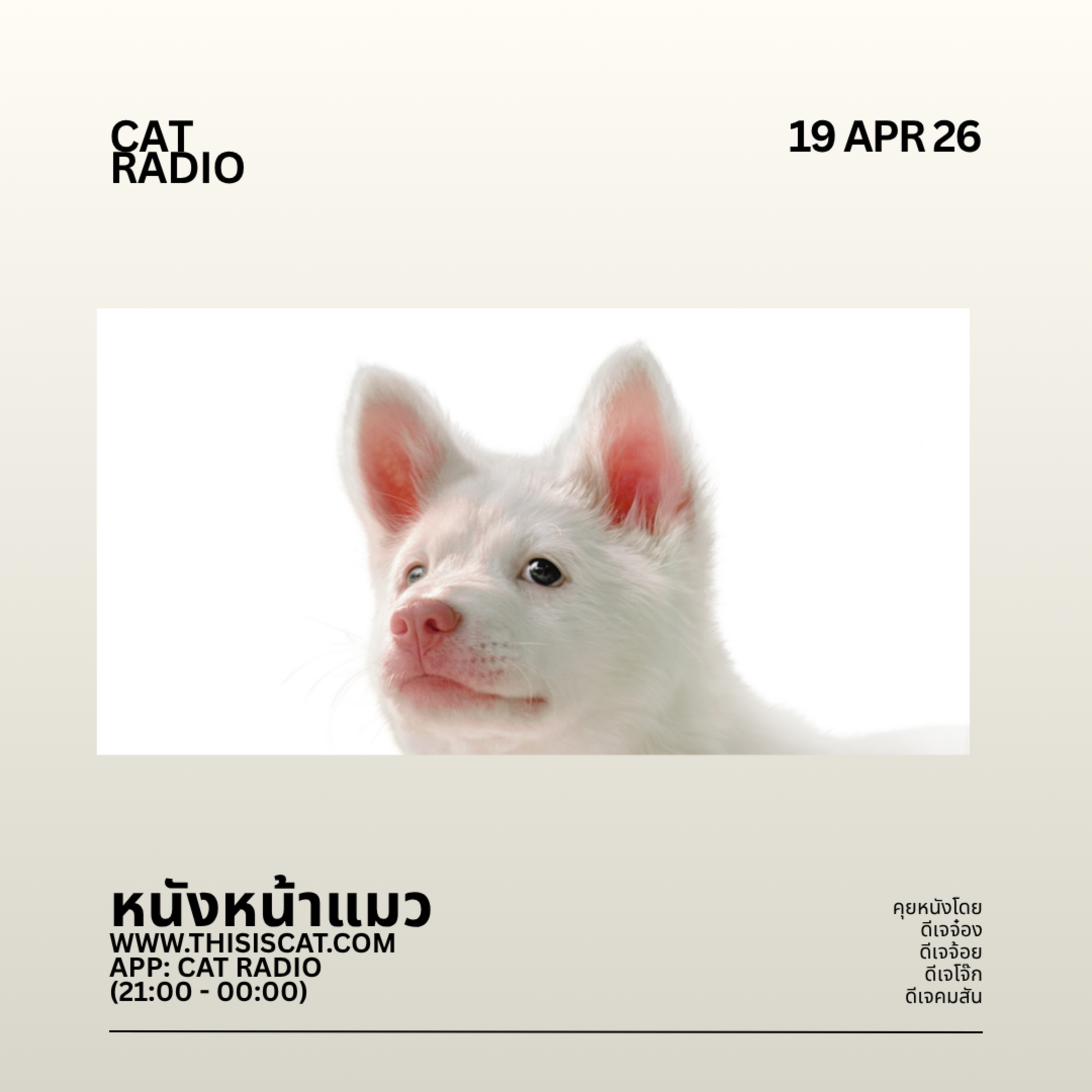 คืนหลัง CAT EXPO ขอนแก่น #หนังหน้าแมว episode artwork