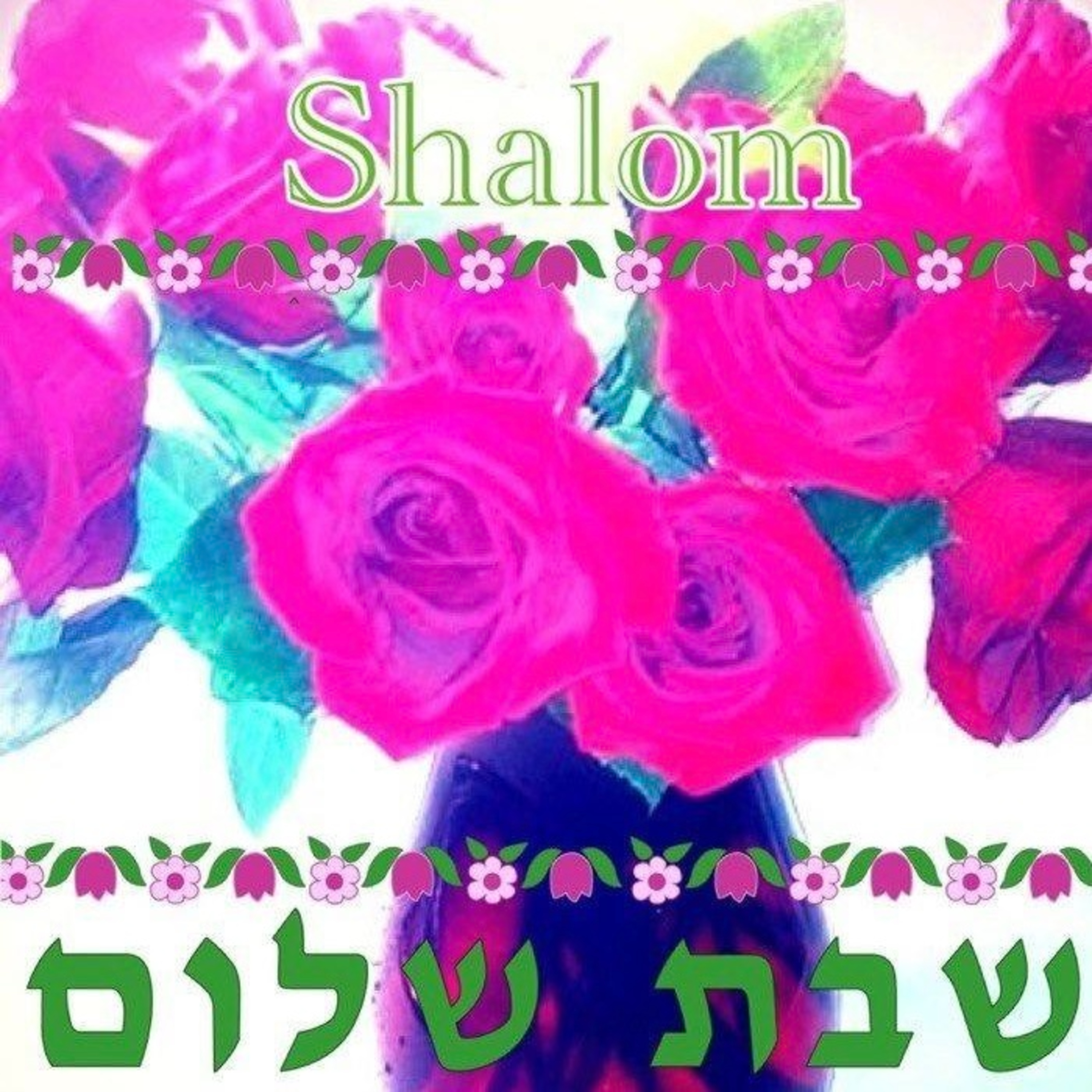 Shabbat Shalom .... 1-24-26 episode artwork