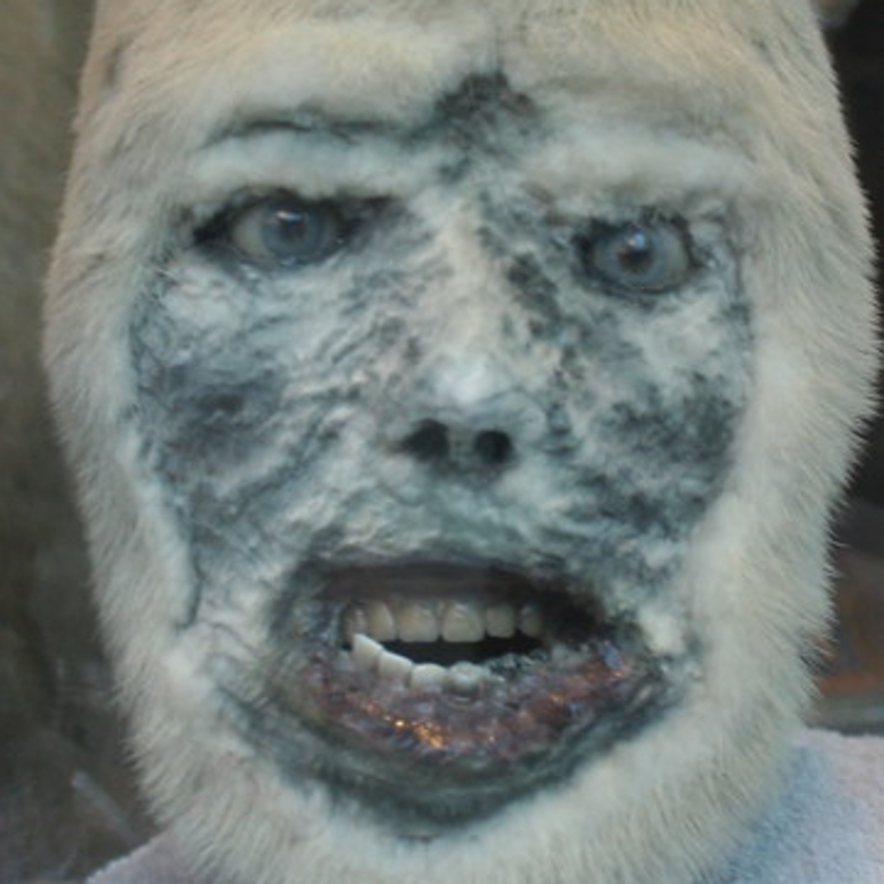 #85 - Sugar Flat Creature in Lebanon, TN/Hollywood Vampire in Richmond, VA