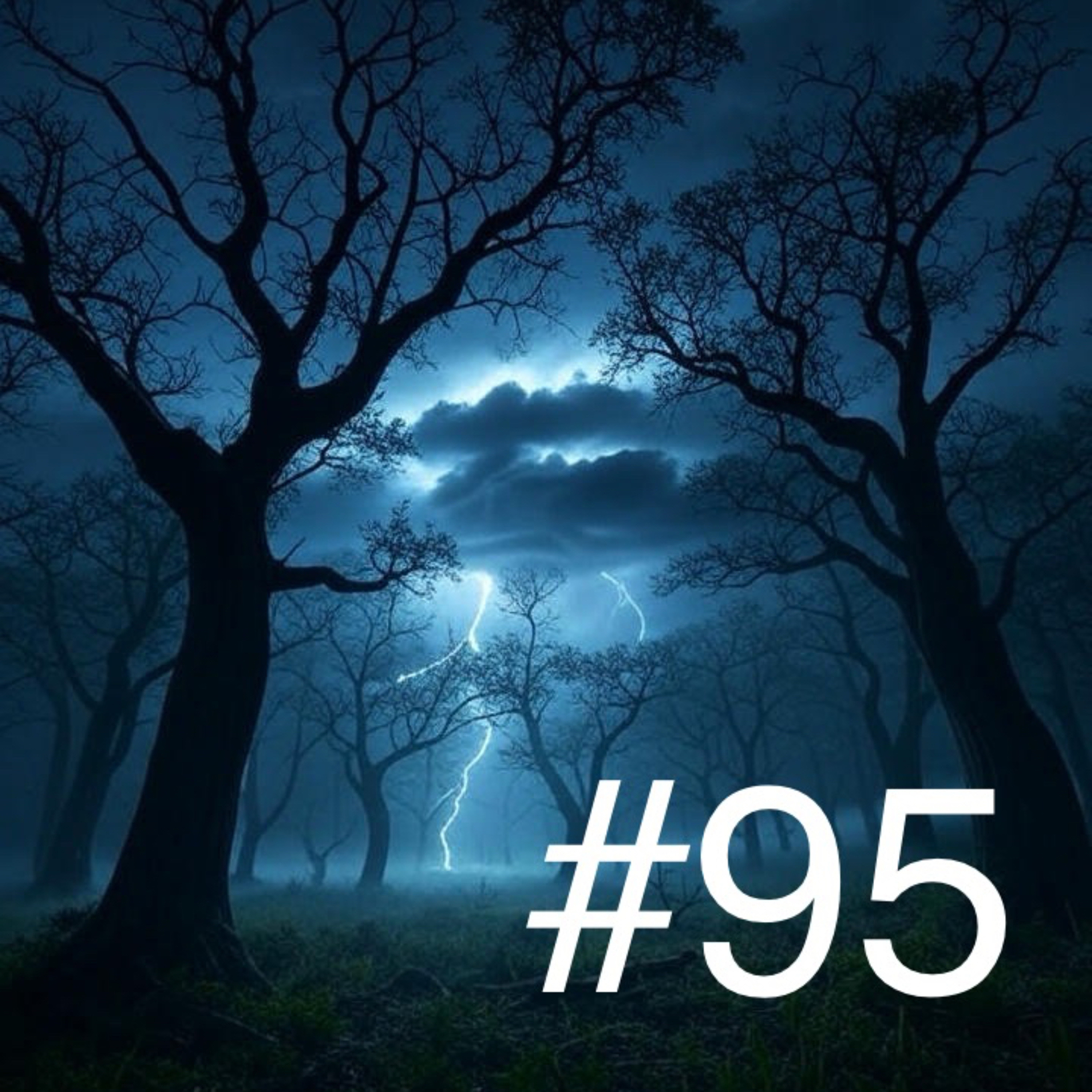 #95 - Deadly Nature/Tragic Hurricane Helene Story w/ Aiden England from Circle 9