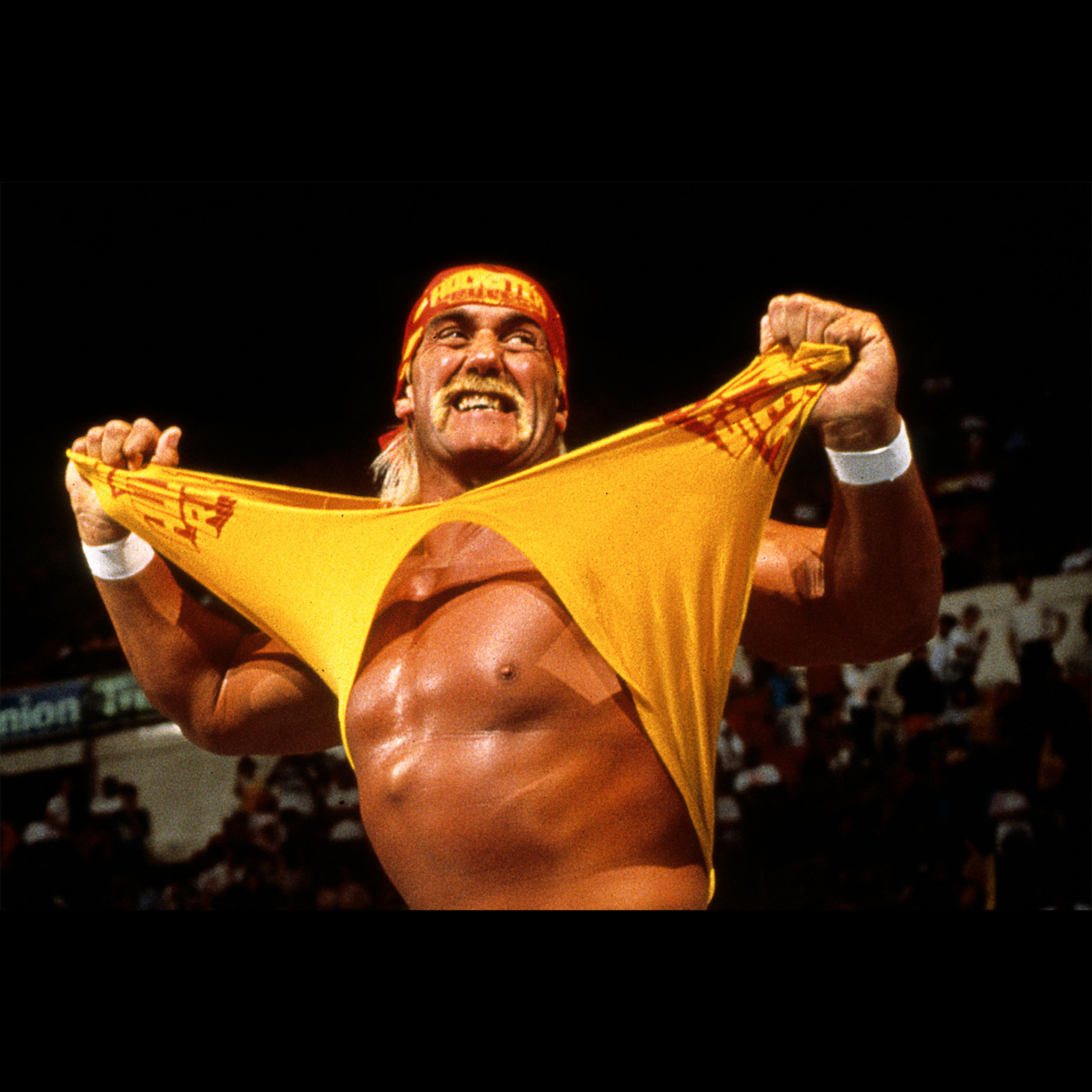Wrestling Outlet
