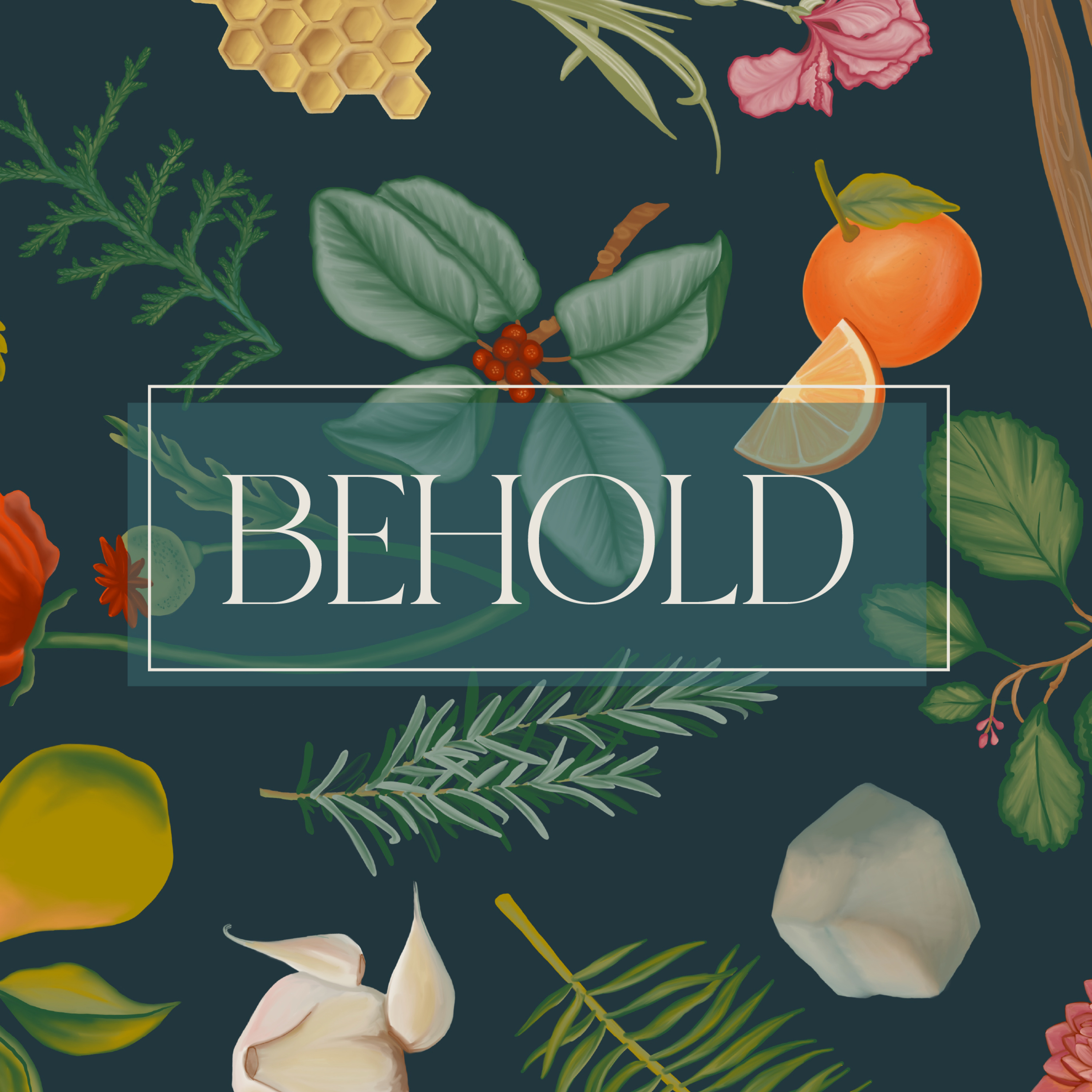 BEHOLD | Beholding God's Heart episode artwork