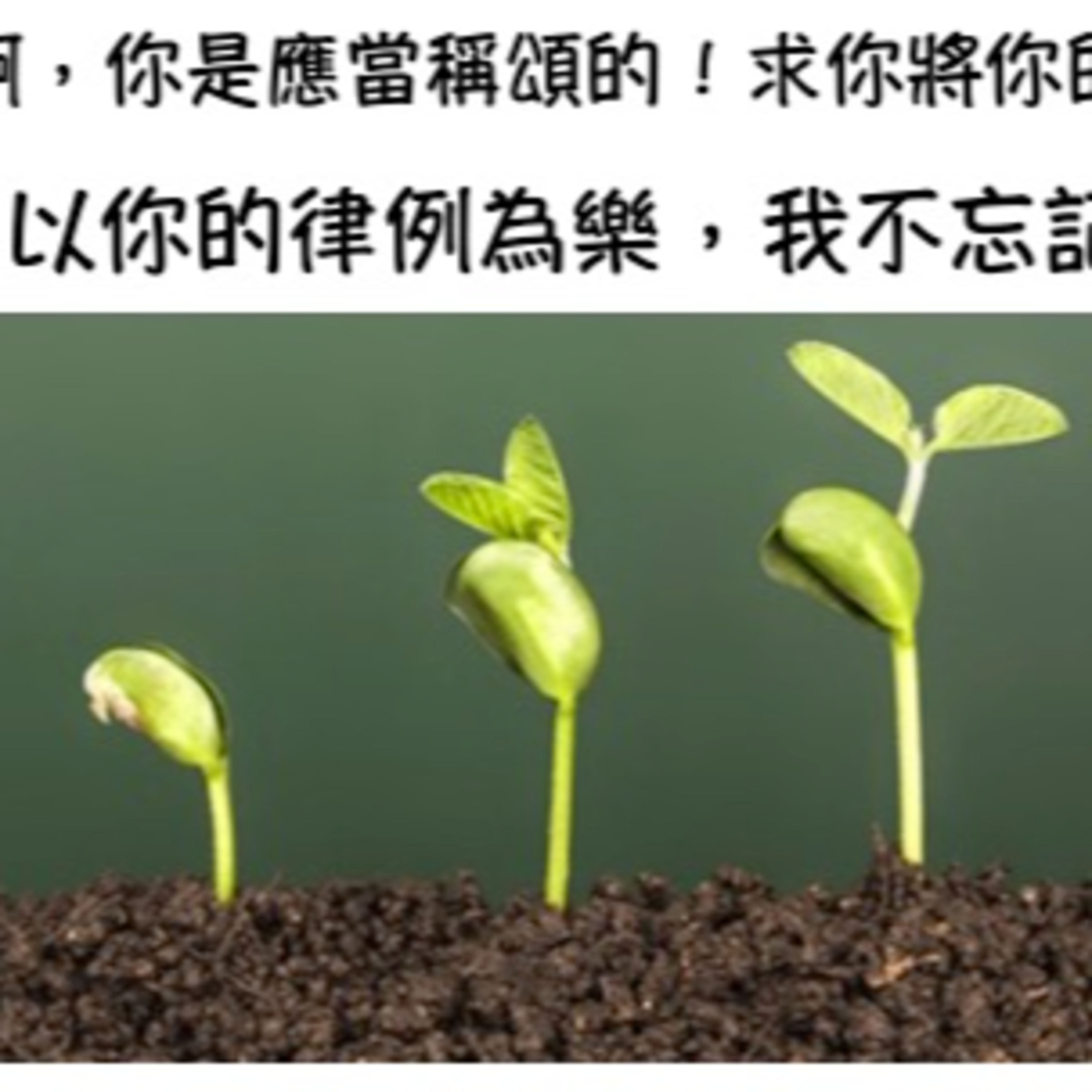 (普、简) 天天「灵」 听 2025年2月4日(二) 诗篇 119:1-16 遵行神的话语的人 episode artwork