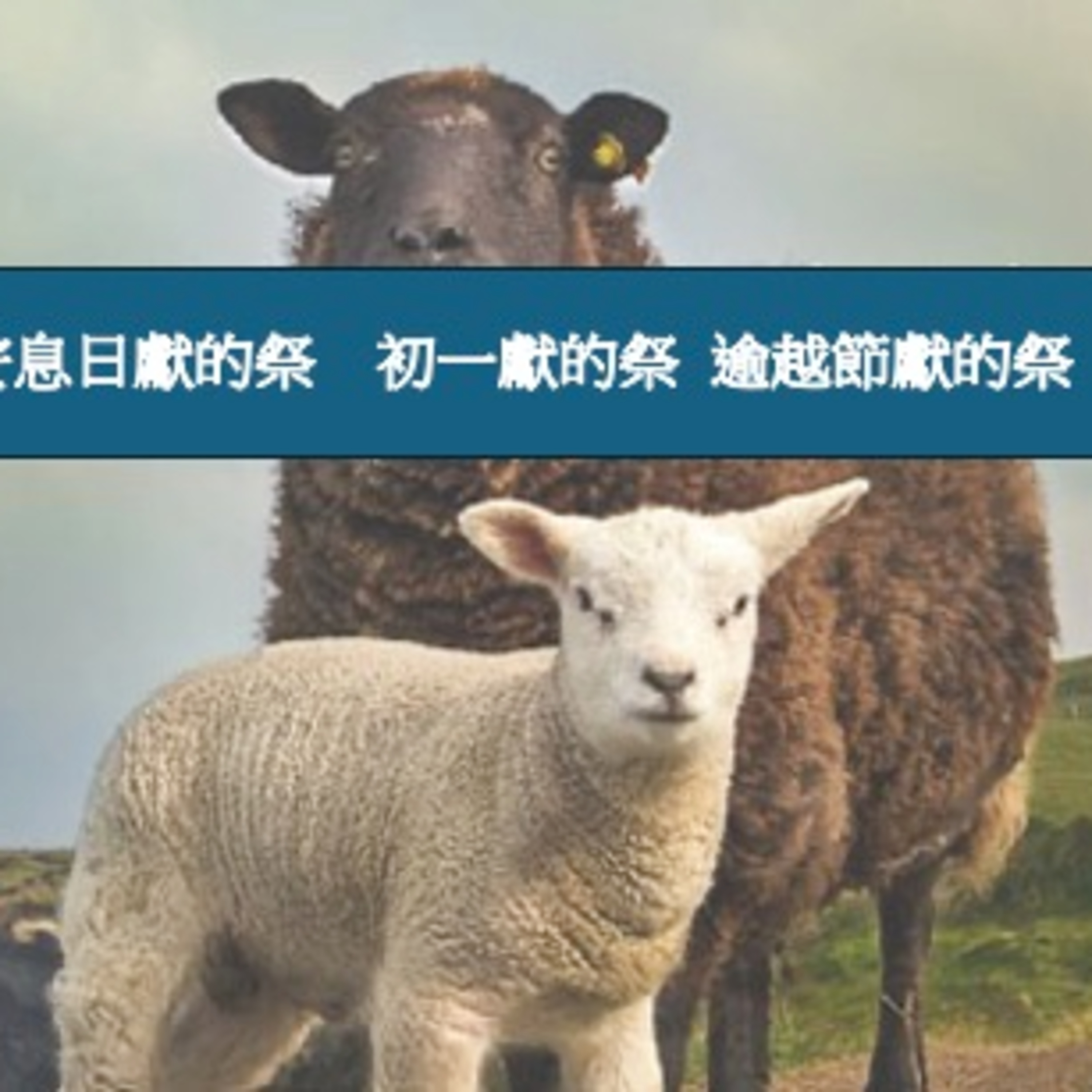(廣、繁) 天天「靈」 聽👂🏻🕊 2025年3月18日(二) ✨民數記 28:1-31 要持守獻祭的習慣✨ episode artwork