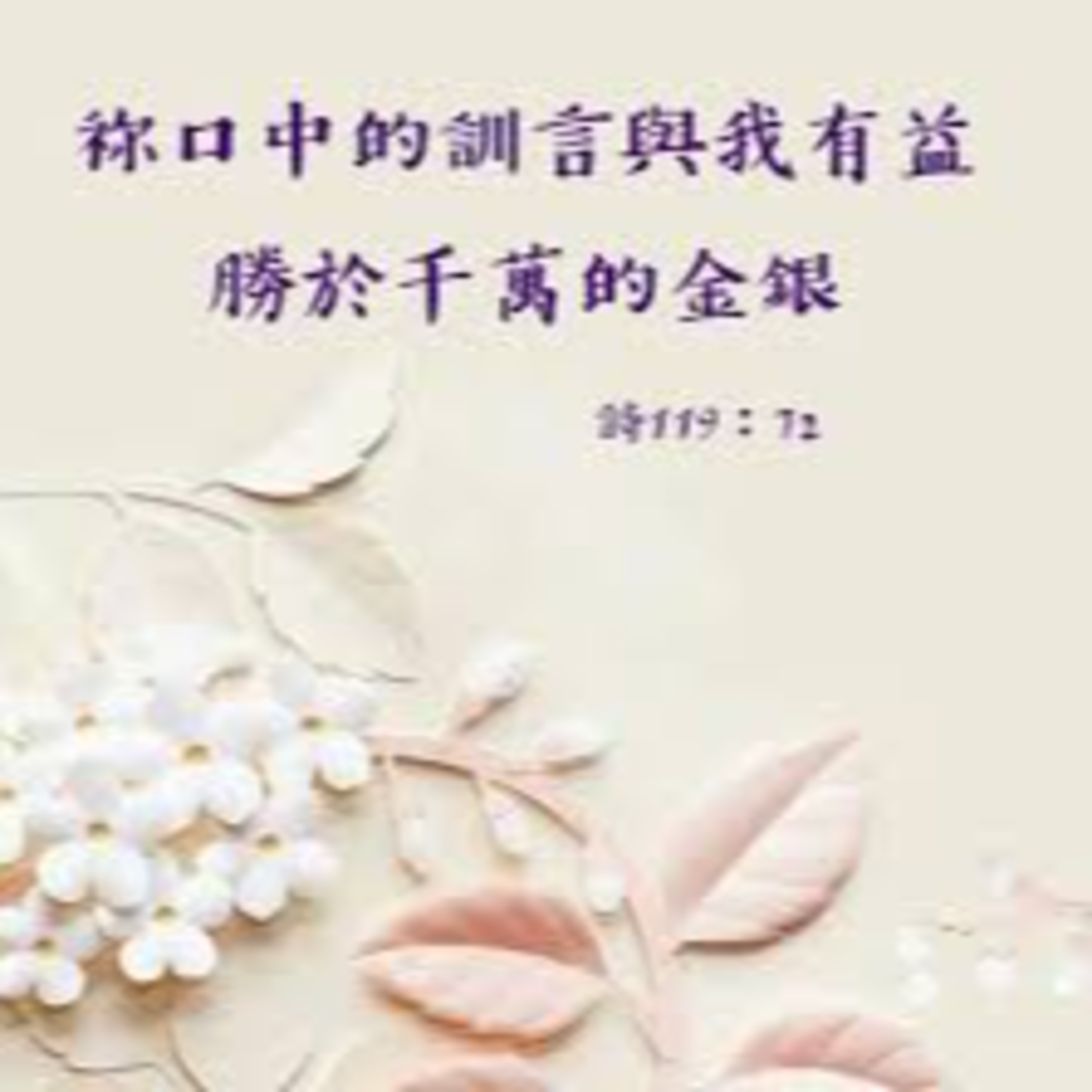 (普、简)天天「灵」 听👂🏻🕊 2025年3月31日(一) ✨诗119 : 65-80 祢口中训言与我有益✨ episode artwork