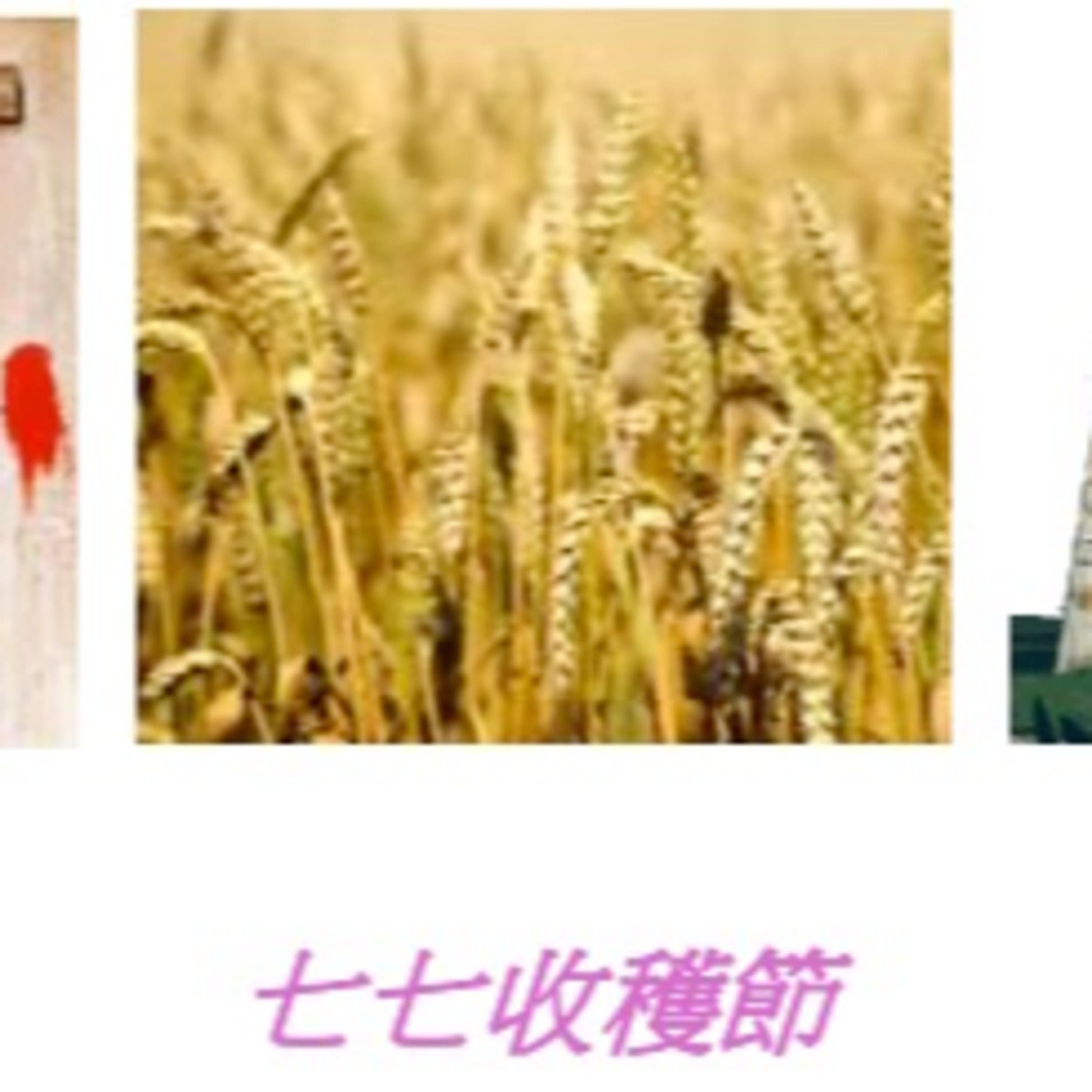 (普、简) 天天「灵」 听👂🏻🕊 2025年5月6日(二) ✨申命记 16:1-17 三大节期✨ episode artwork