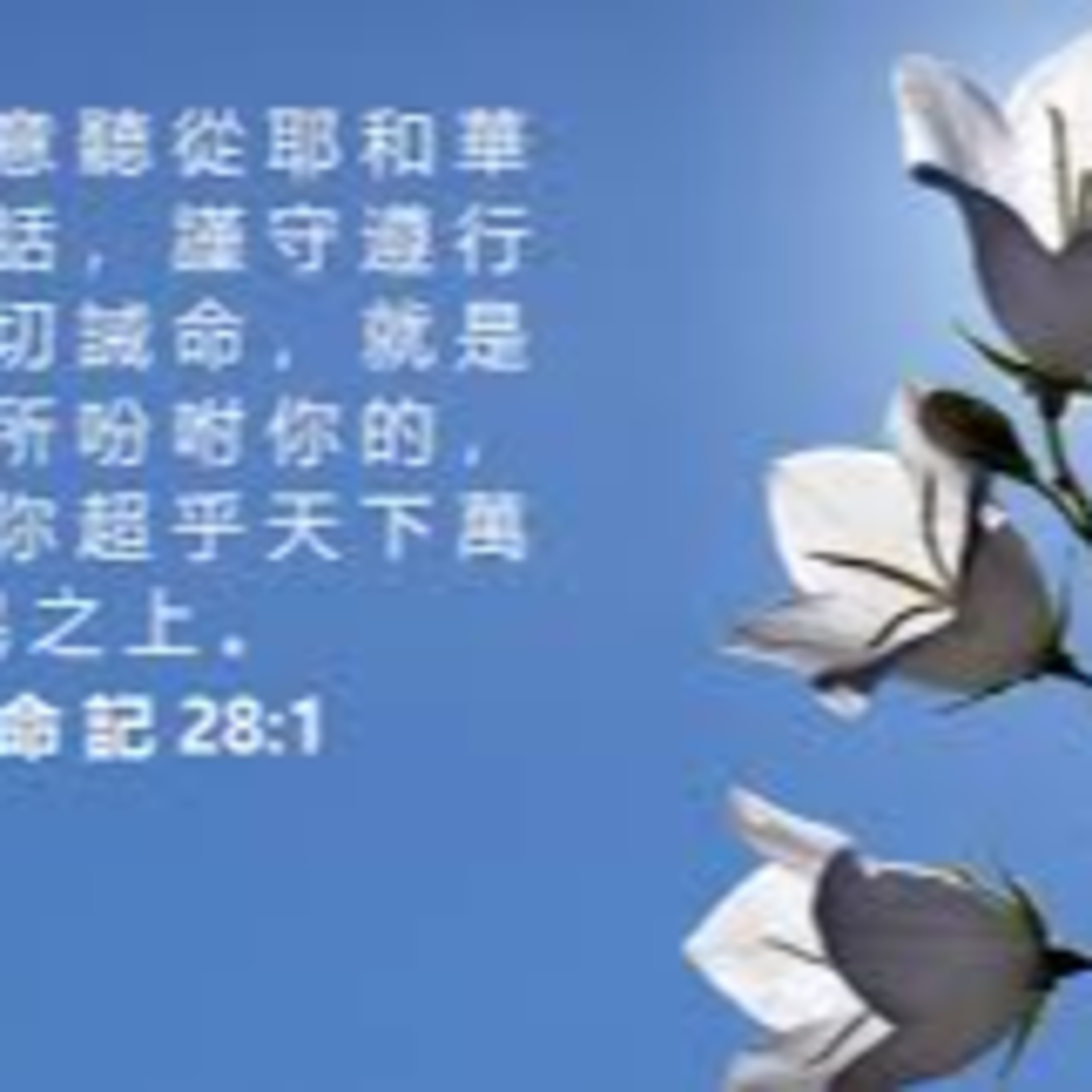 (廣、繁) 天天「靈」 聽👂🏻🕊 2025年5月21日(三) ✨申命記\ 28:1-14 蒙福生命✨ episode artwork