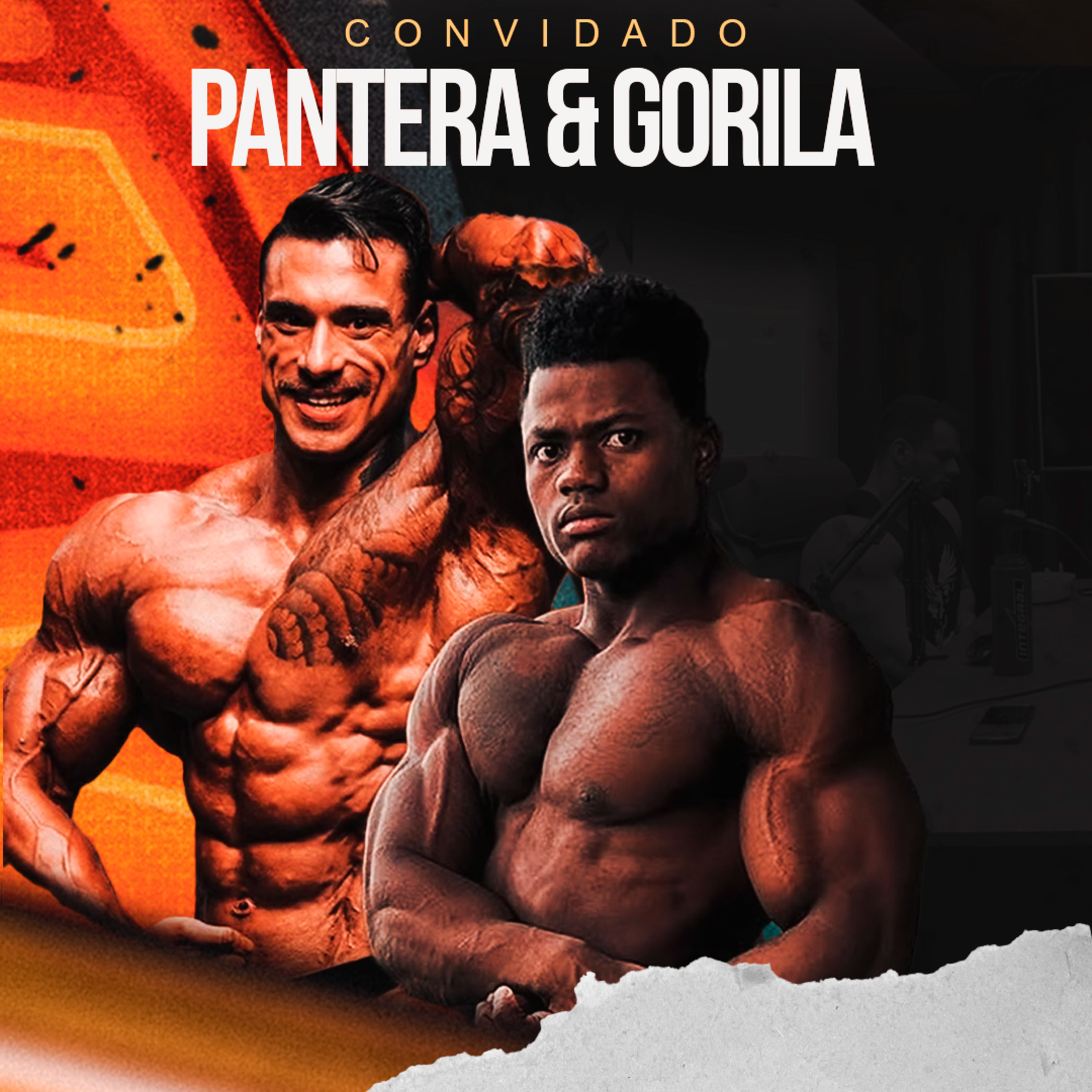 PANTERA & GORILA - A DUPLA ANIMAL DA CLASSIC episode artwork