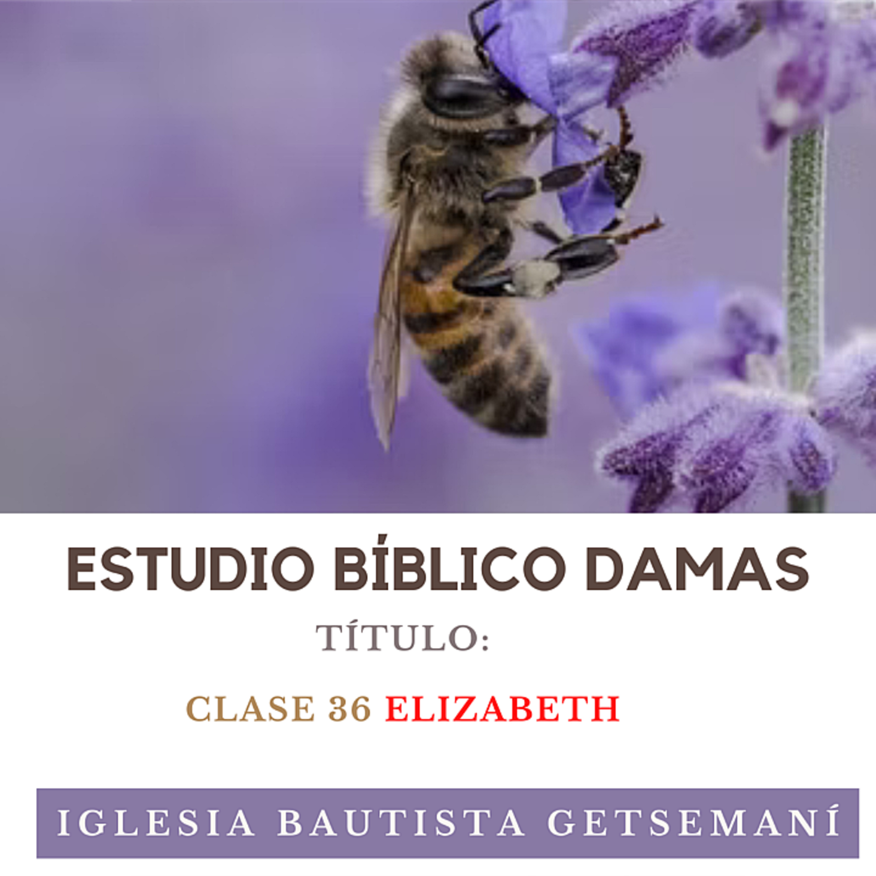 (36) Damas Getsemaní | Mujeres de La Biblia | ELIZABETH | 3 ABRIL 2023 episode artwork