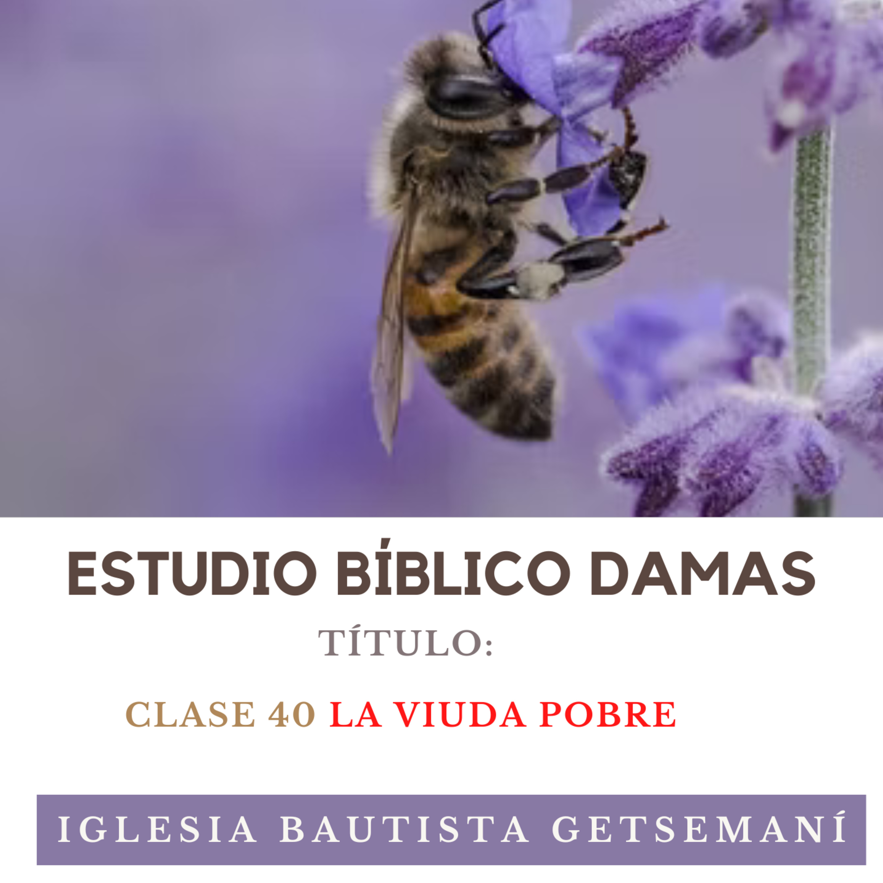 (40) Damas Getsemaní | Mujeres de La Biblia | LA VIUDA POBRE | 8 MAYO 2023 episode artwork