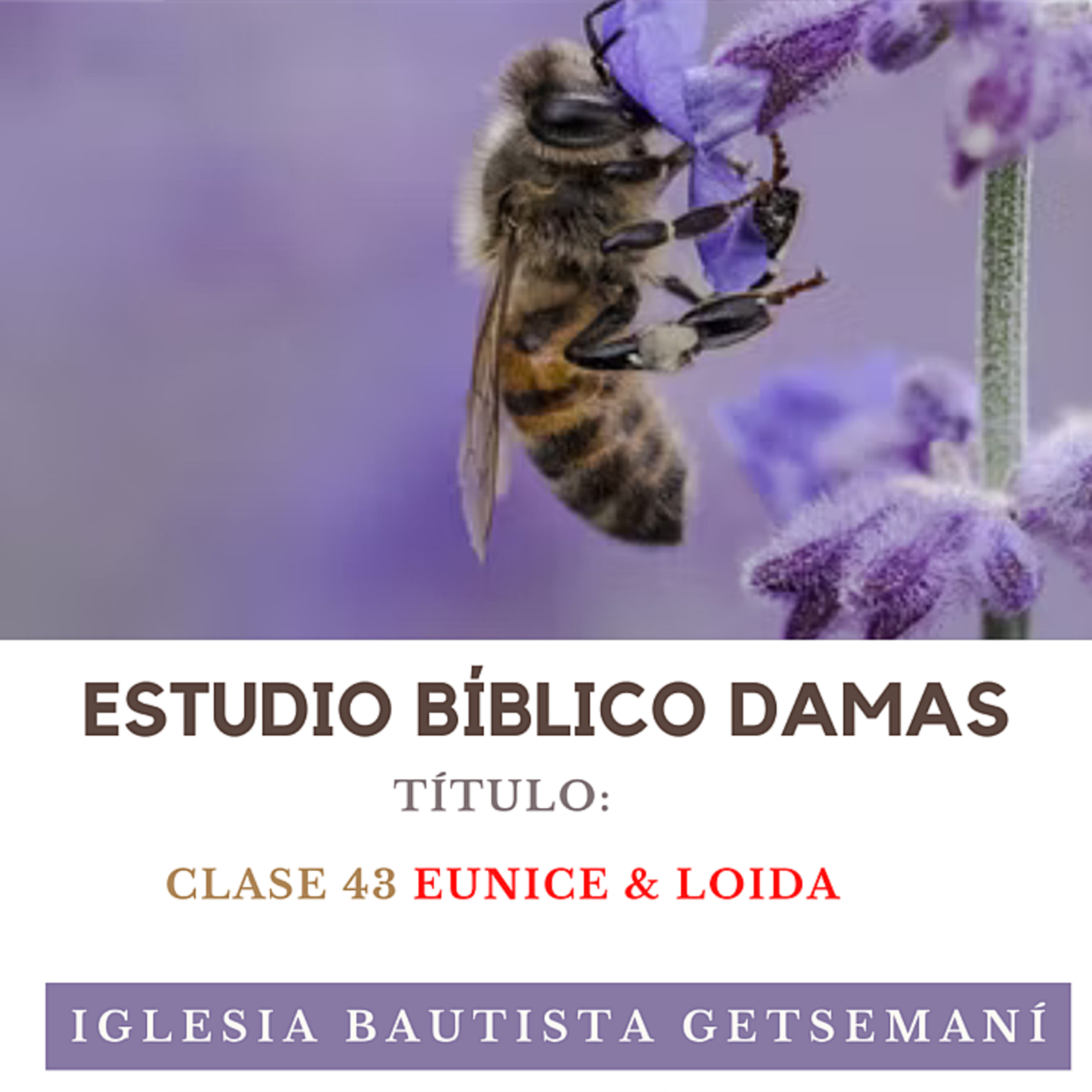 (43) Damas Getsemaní | Mujeres de La Biblia | Eunice & Loida | 5 JUNIO 2023 episode artwork