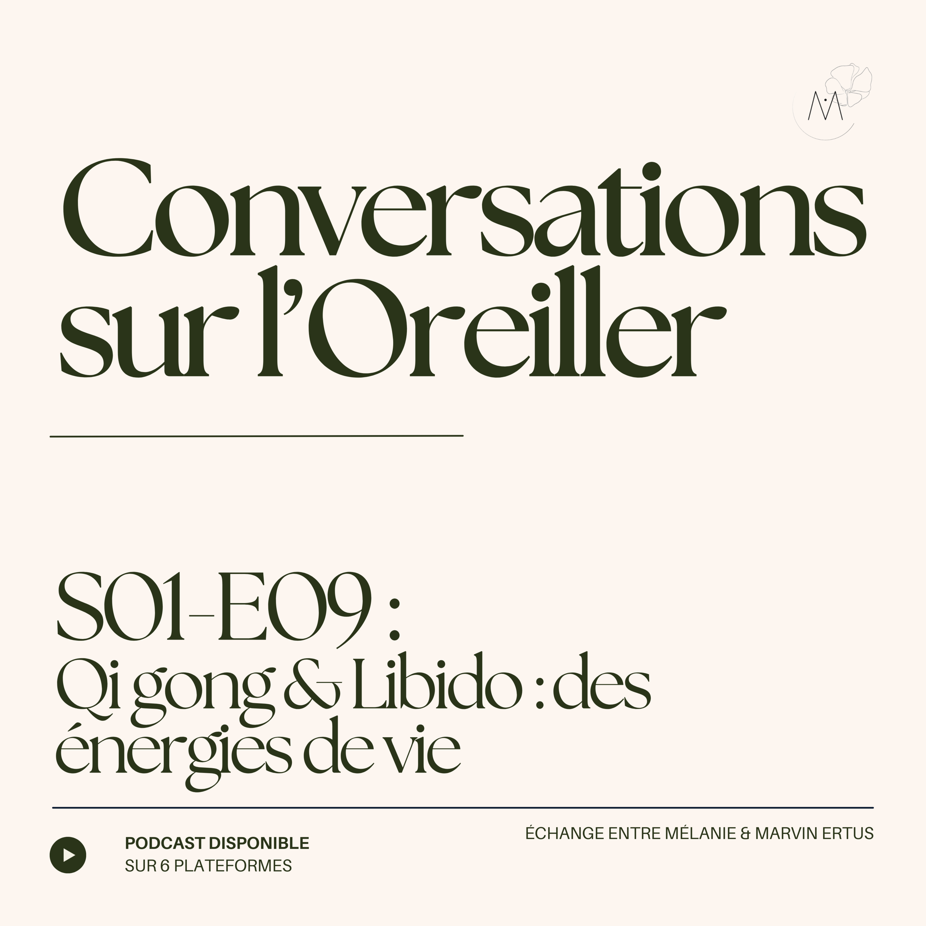 Conversations sur l\'Oreiller