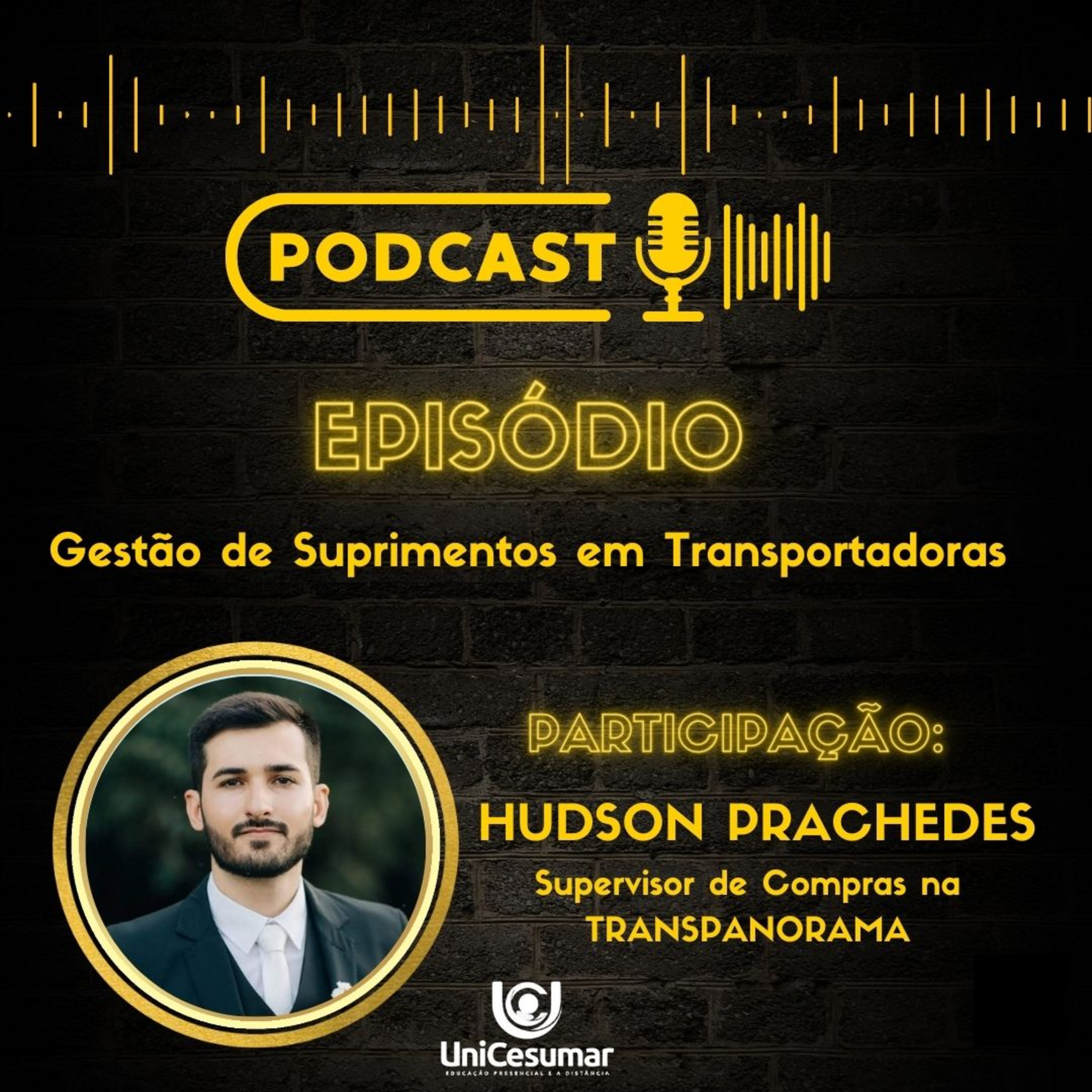 Gestão de Suprimentos em Transportadoras episode artwork