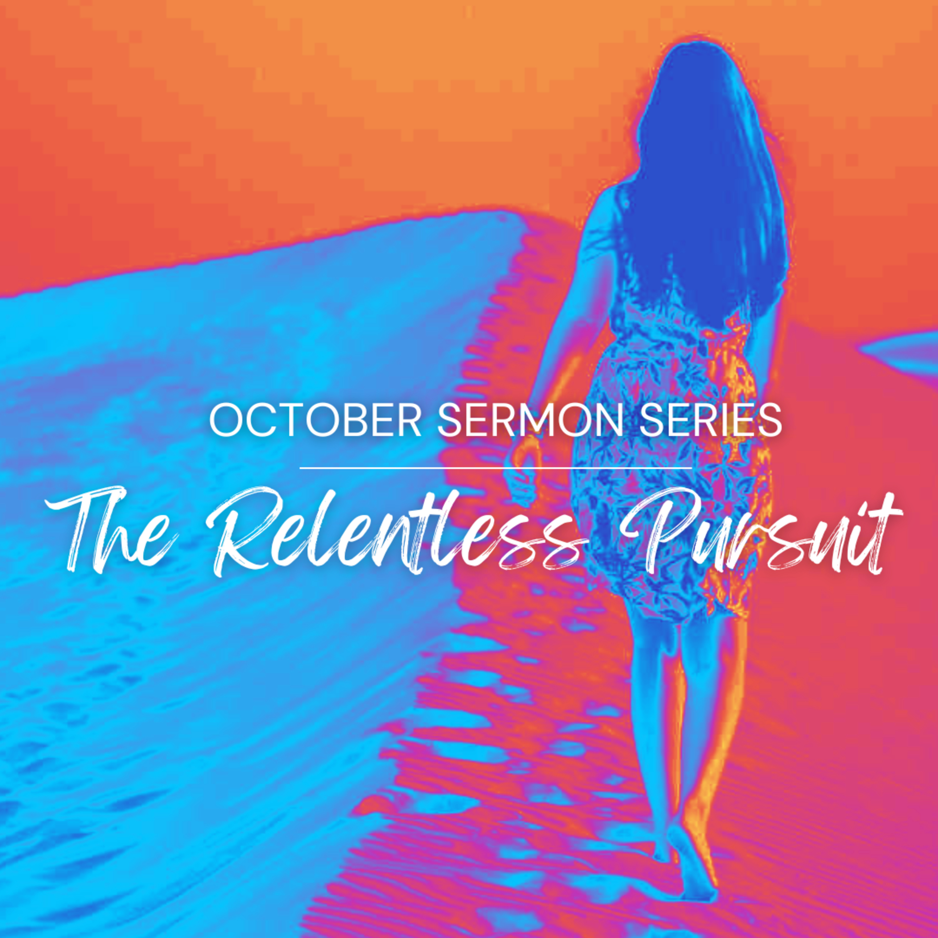The Relentless Pursuit: Wisdom
