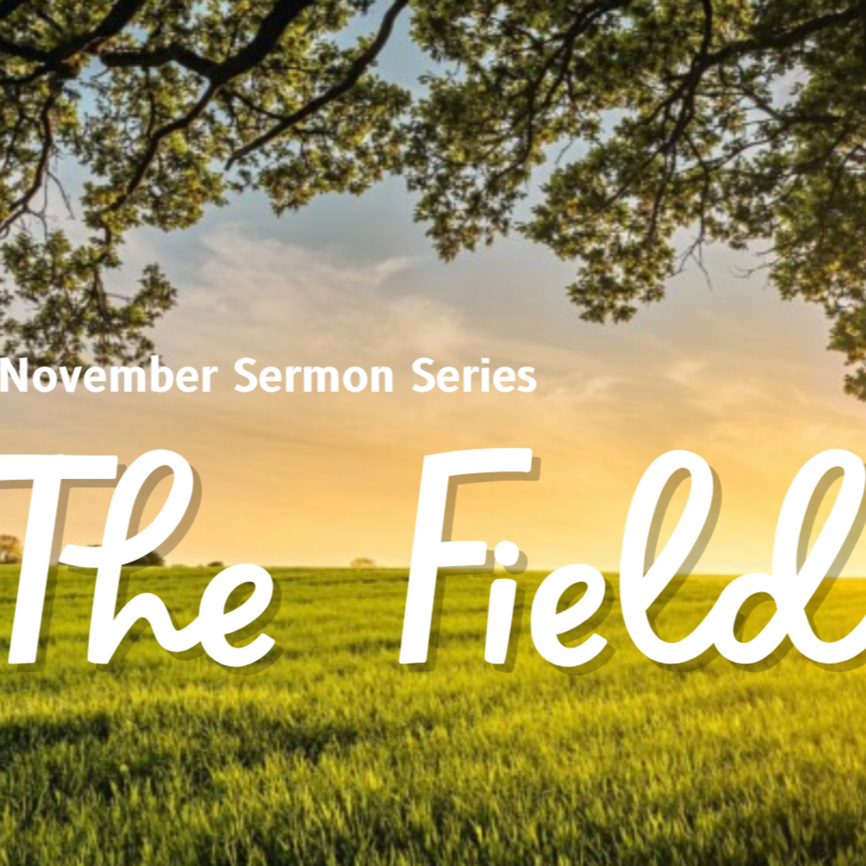 In The Field: “Who is In Your Field?” episode artwork