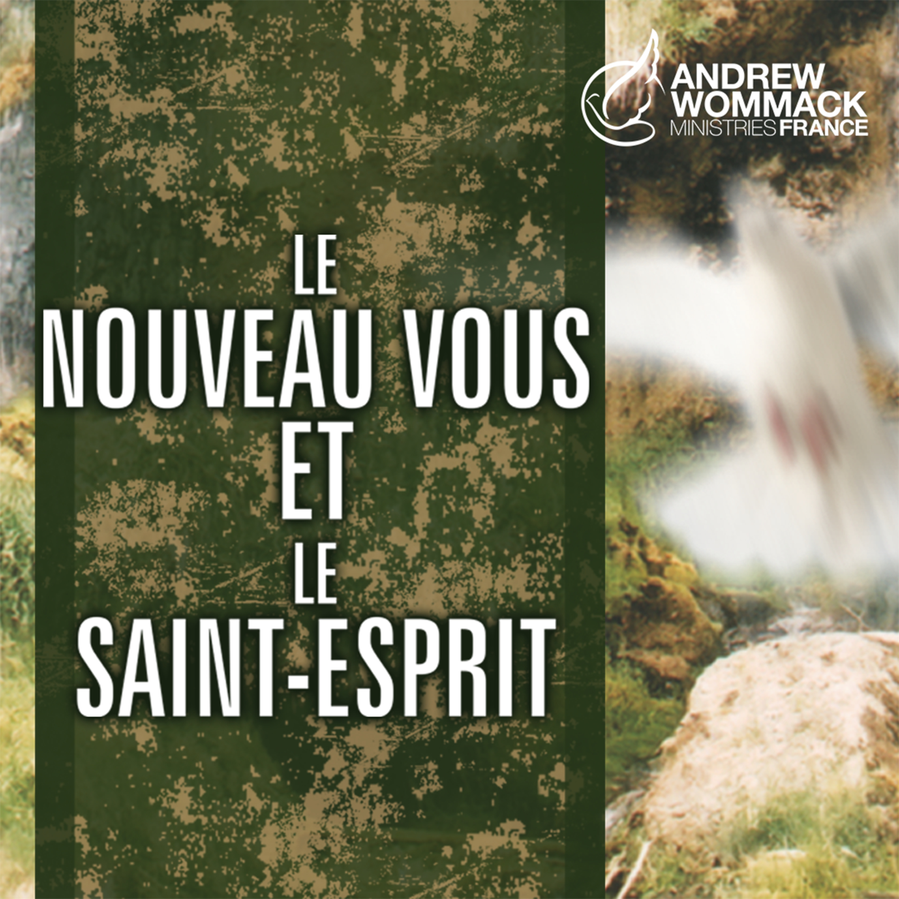 Le Nouveau Vous et le Saint-Esprit (Épisode 5)