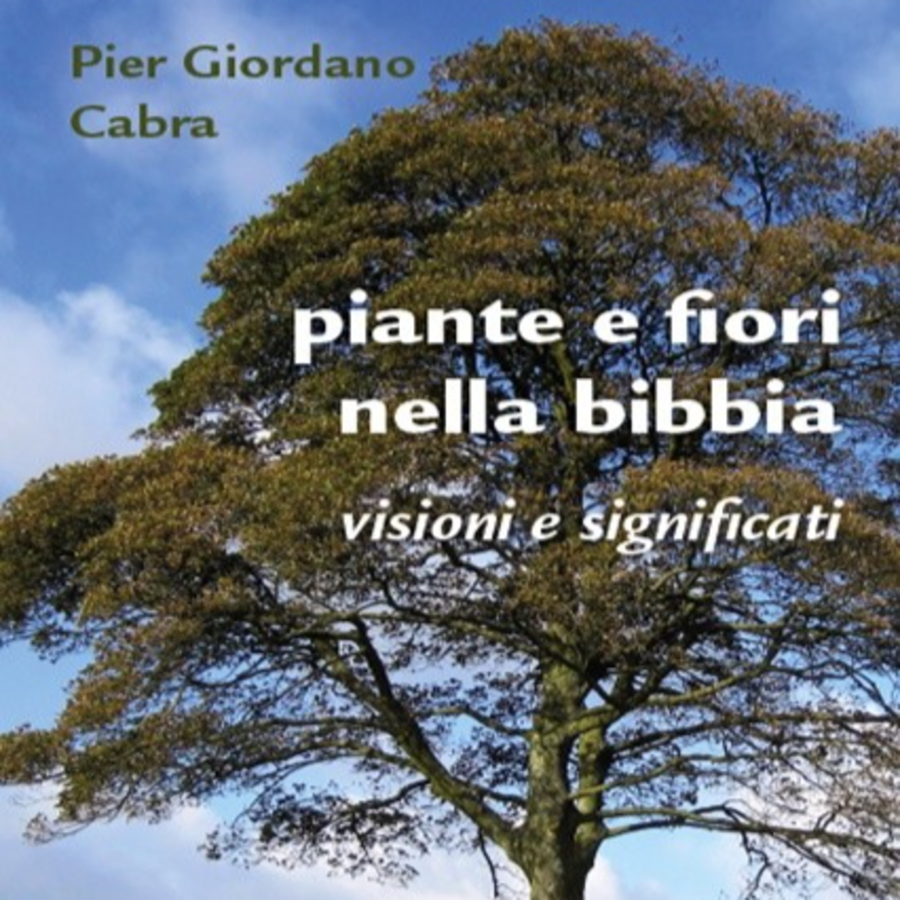 La bottega del lettore 18 puntata episode artwork
