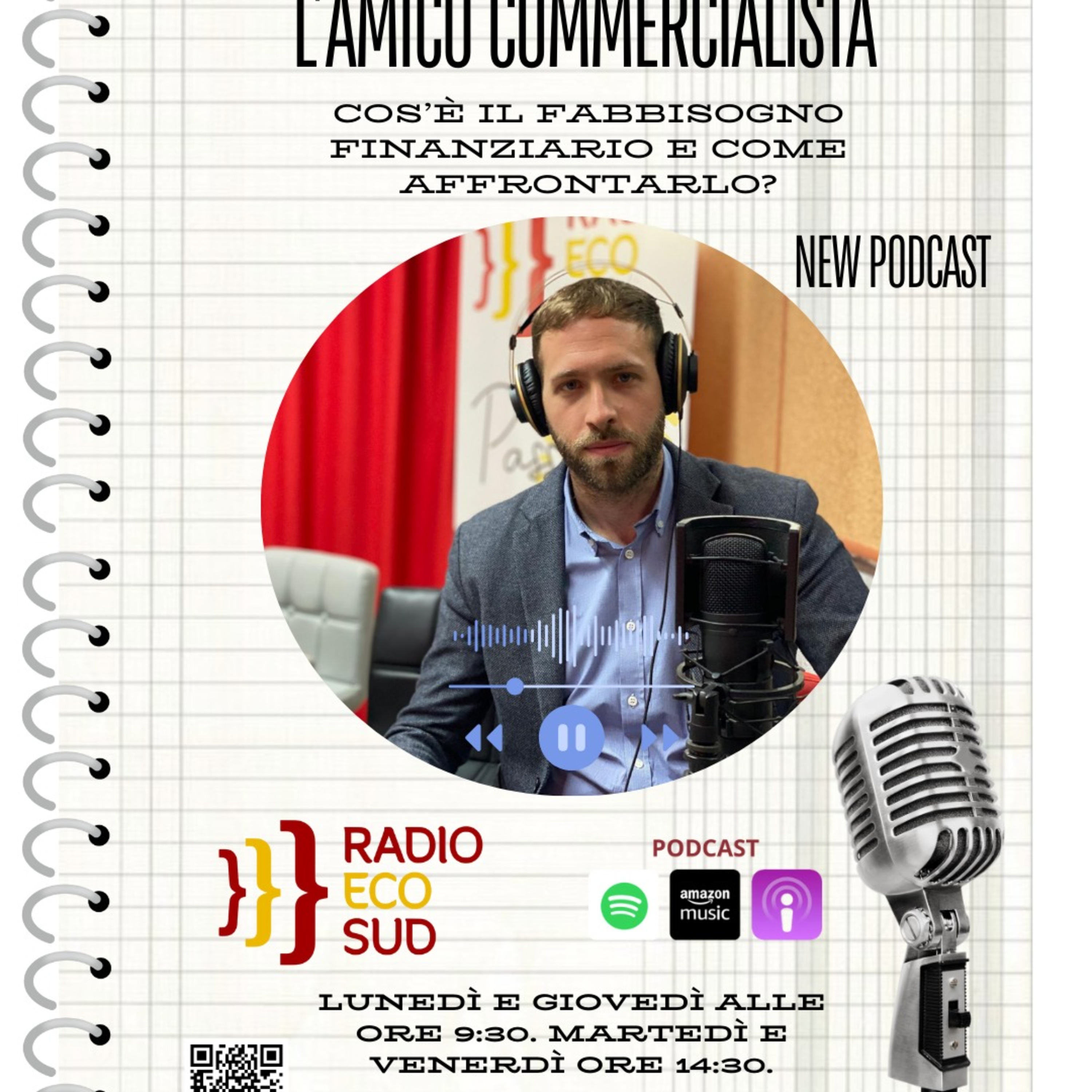L'amico commercialista 8 puntata episode artwork