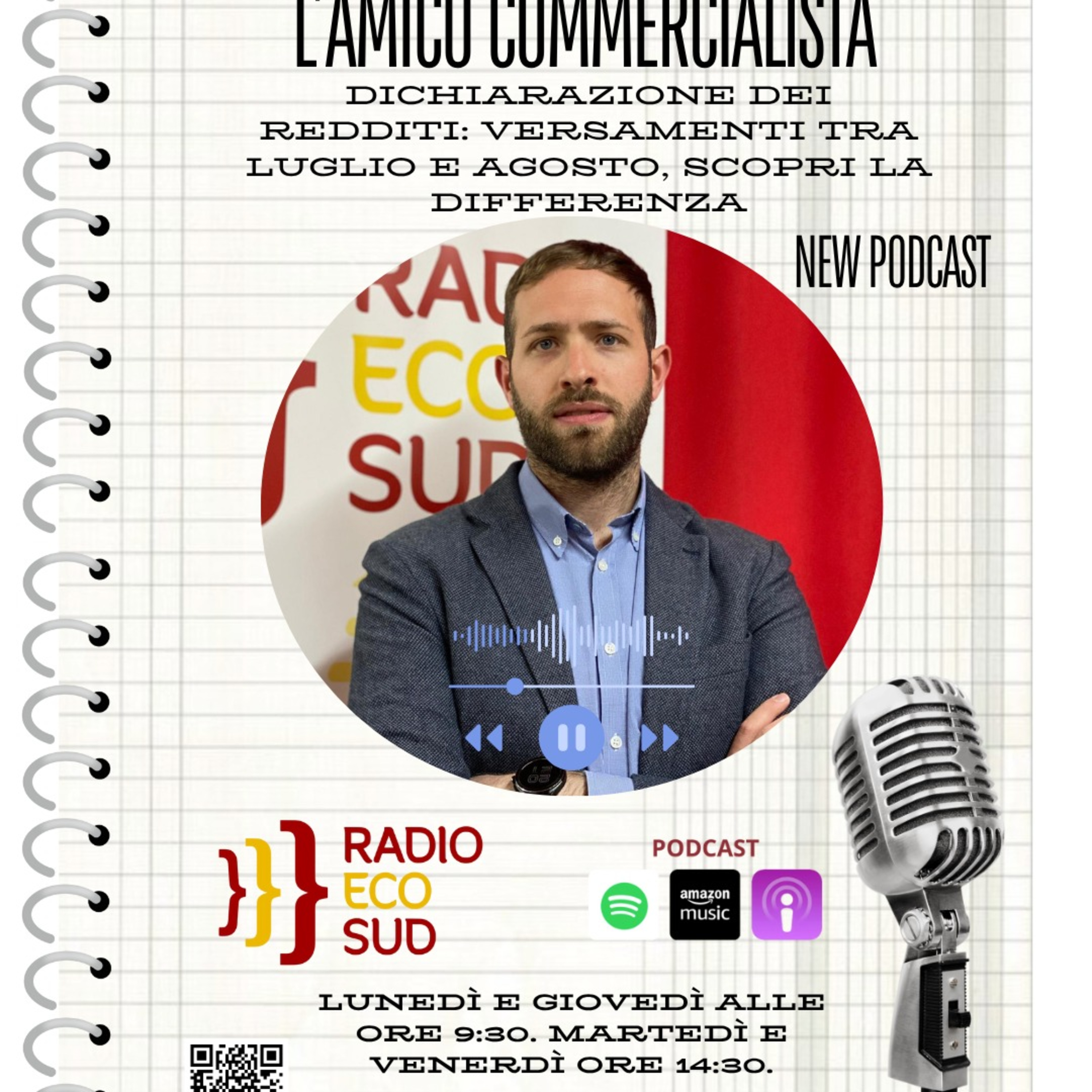 L'amico commercialista 9 puntata episode artwork