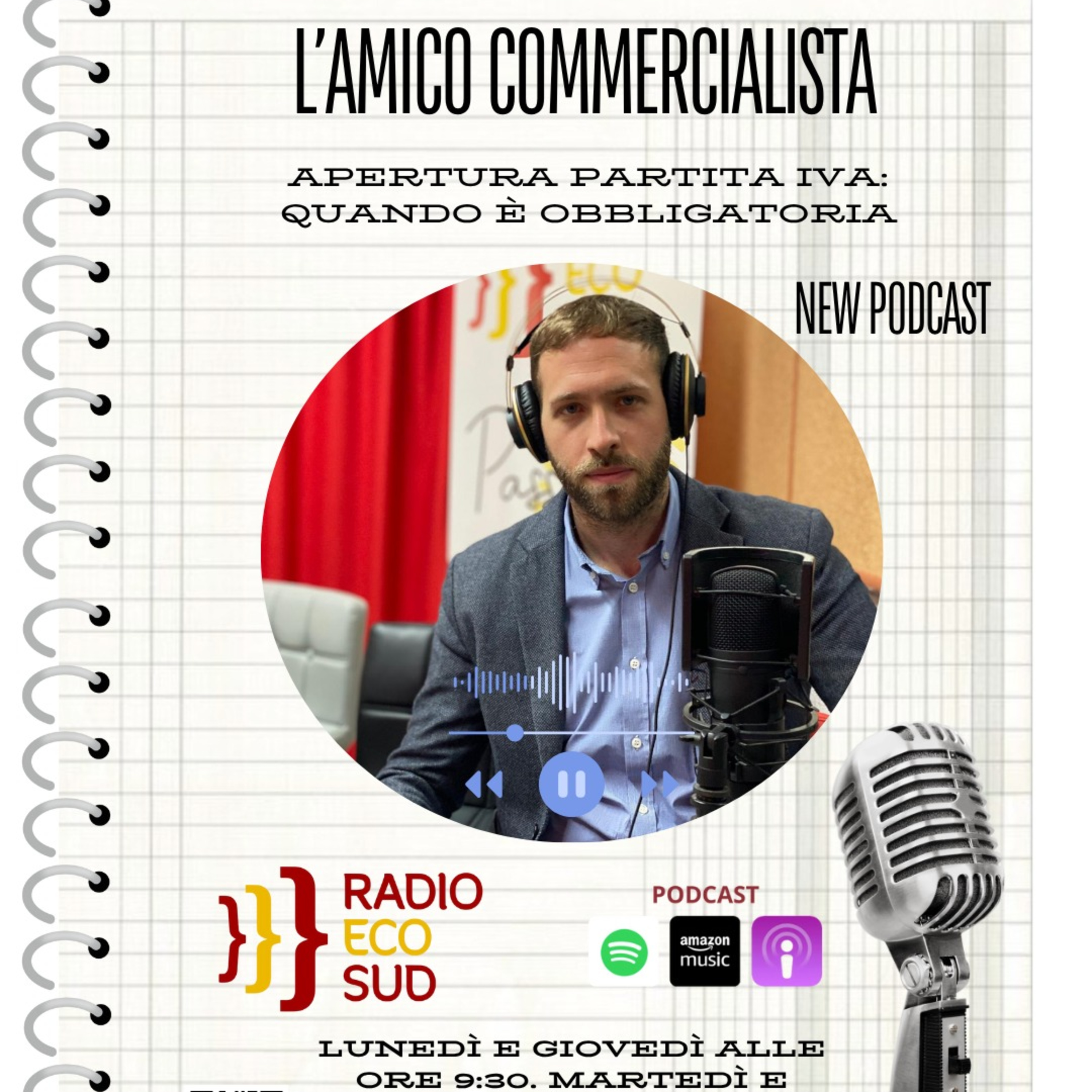 L'amico commercialista 12 puntata episode artwork